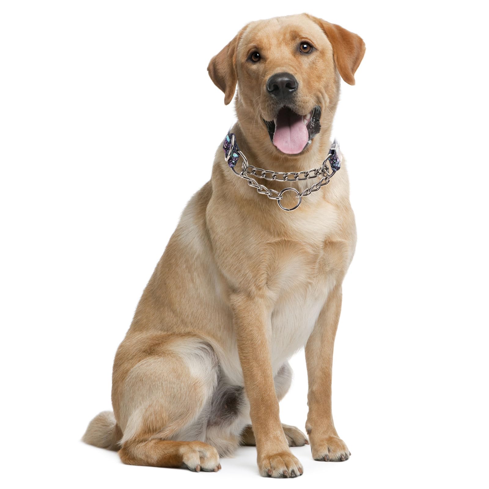 Stainless Steel Chain Martingale Collar For Dogs, No Pull Slip Cinch Choker Choke Collar Training Escape Proof Heavy Duty Dog Co