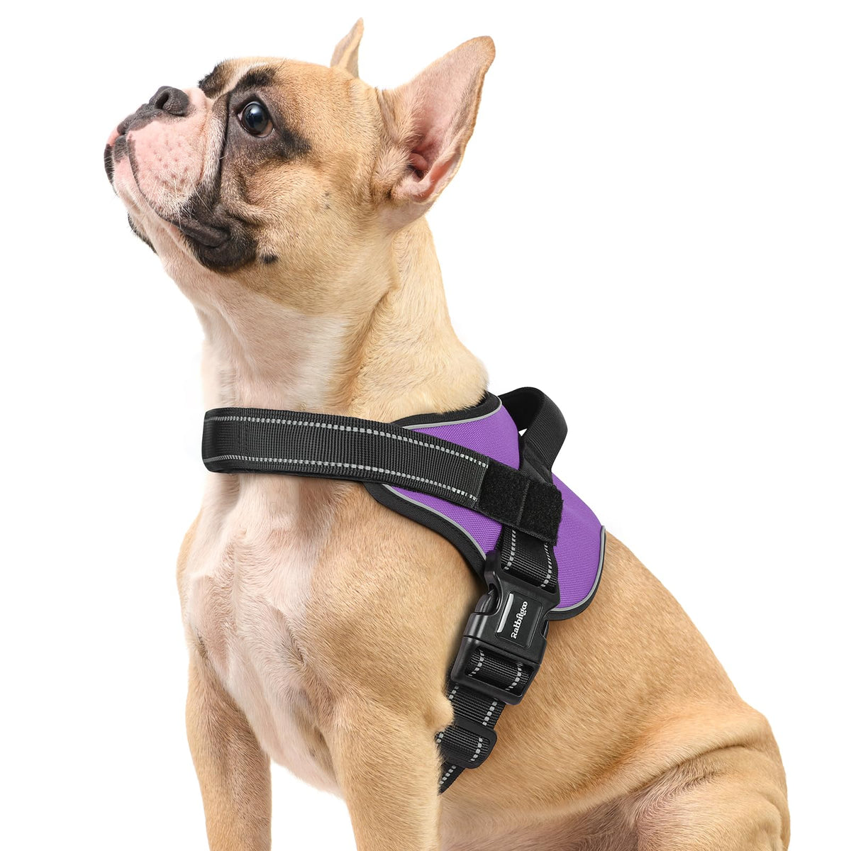 Rabbitgoo Dog Harness Small Sized, No Pull No Choke Pet Vest, Easy Wearing With One Buckle, Reflective, Adjustable Pet Harness W
