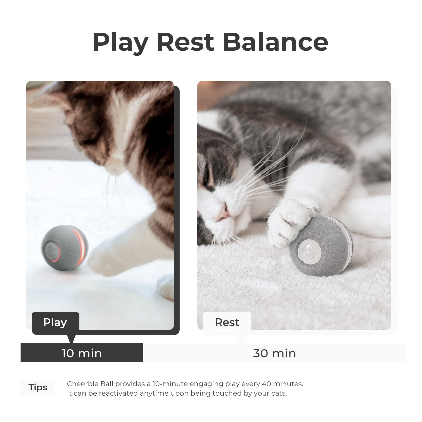 Cheerble Smart Interactive Cat Toy, Automatic Moving Bouncing Rolling Ball For Indoor Cat Kitten, Peppy Pet Ball With Lights And Bell, Grey