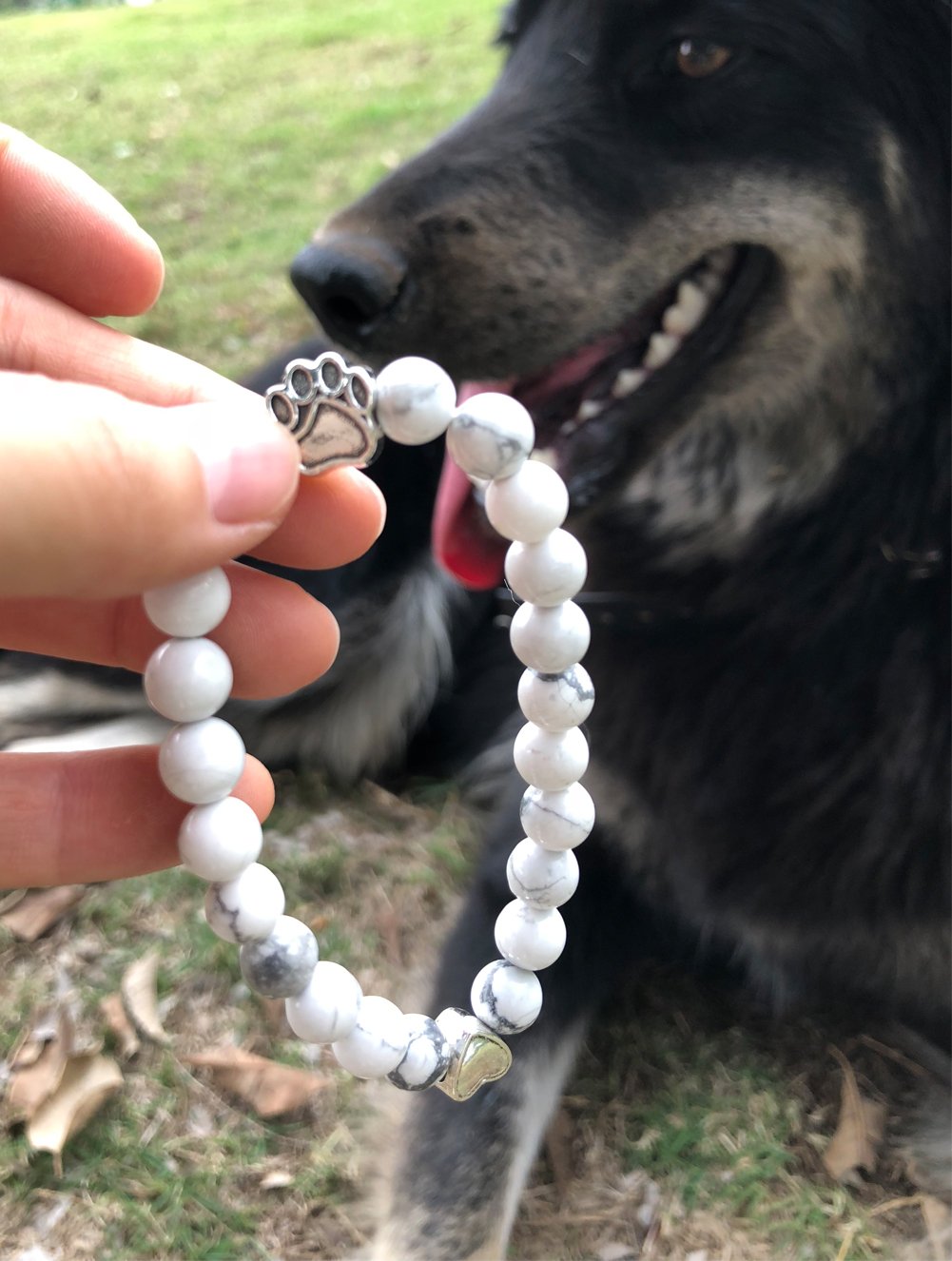 RedSum Pet Memorial Bracelet - 8 Inch White Turquoise Jewelry with Rainbow Bridge Card for Dog Cat Loss Gifts