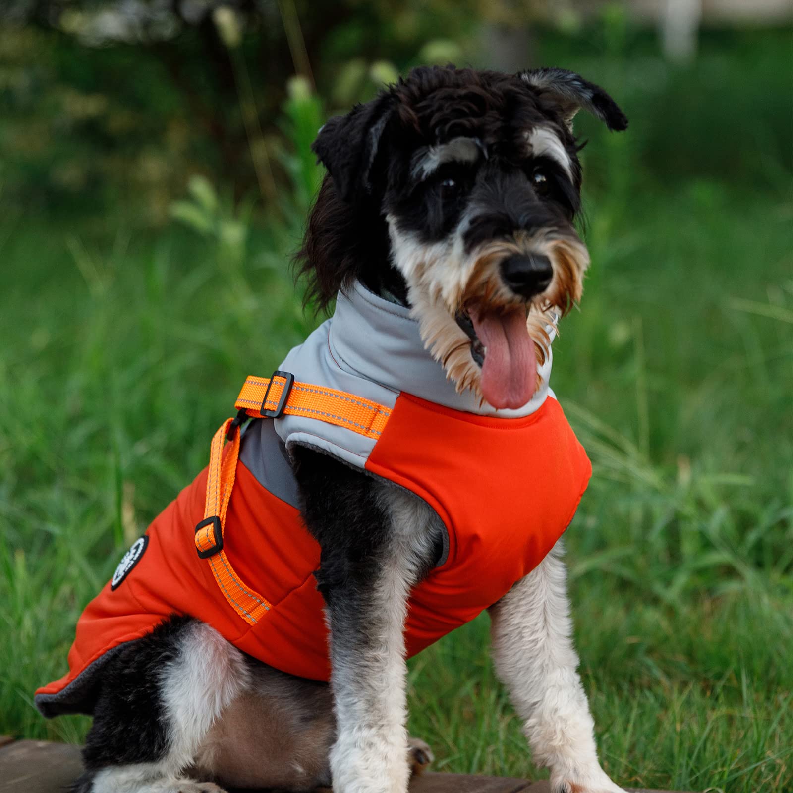 Norbi Pet Warm Jacket Small Dog Vest Harness Puppy Winter 2 In 1 Outfit Cold Weather Coat (Medium, Orange-A)