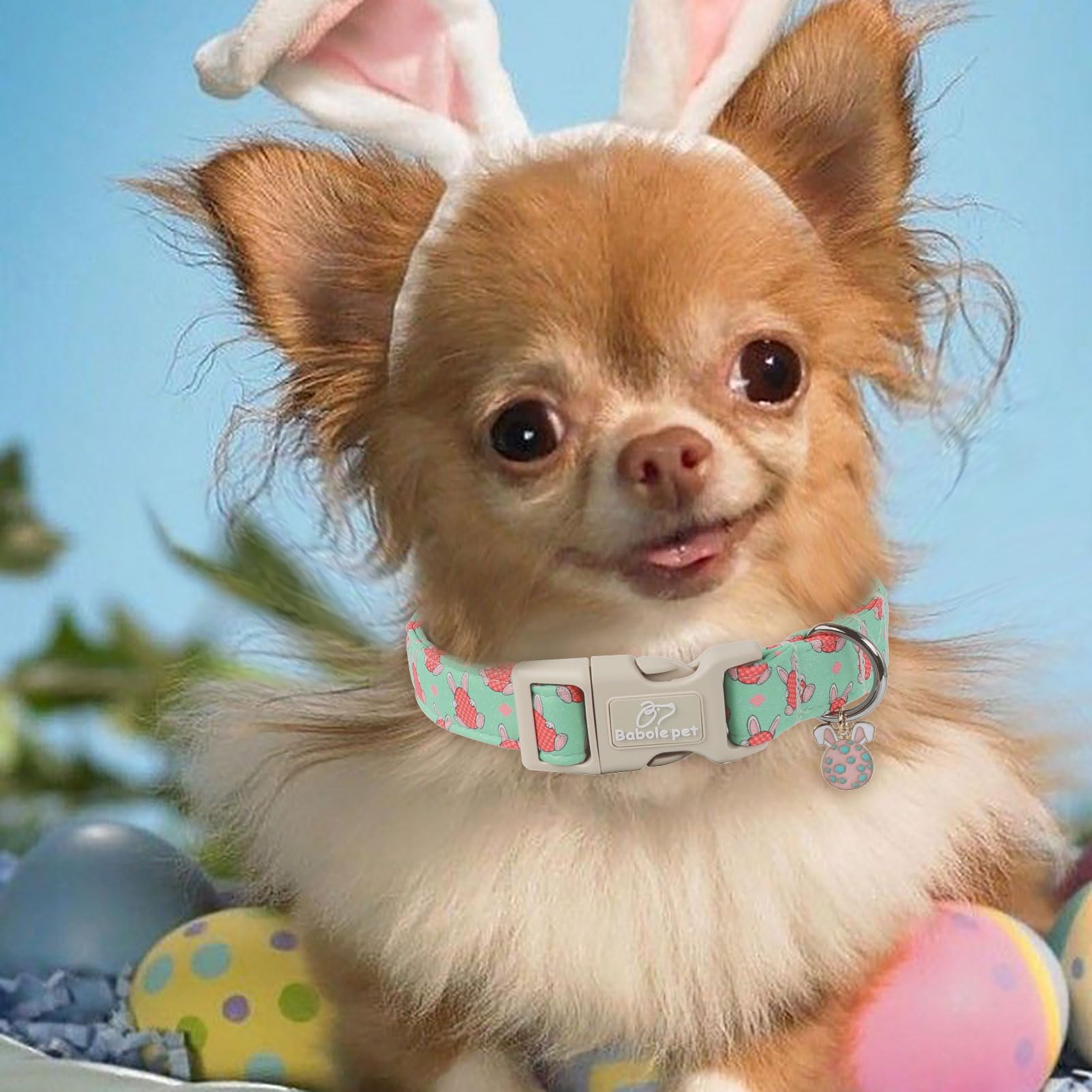 Babole Pet Easter Dog Collar for Medium Dogs - Design Cute Easter Bunny Egg Dog Collars Boy Girl Puppy Adjustable Quick Release