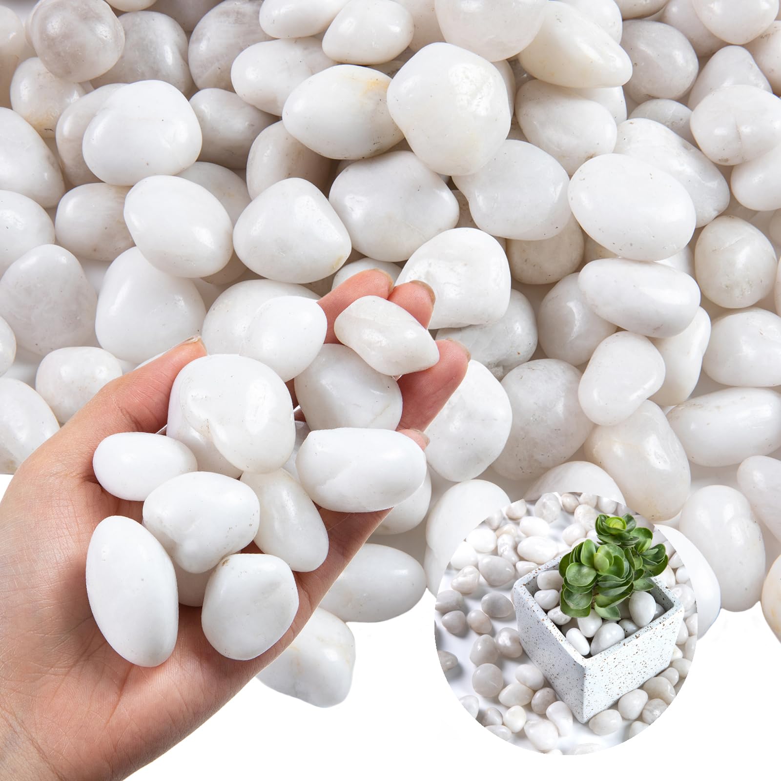 Lechloris 20lb White River Rock- High Polished Pebbles for Indoor Plants- Decorative Stones for Aquarium Fish Tank - White Rocks