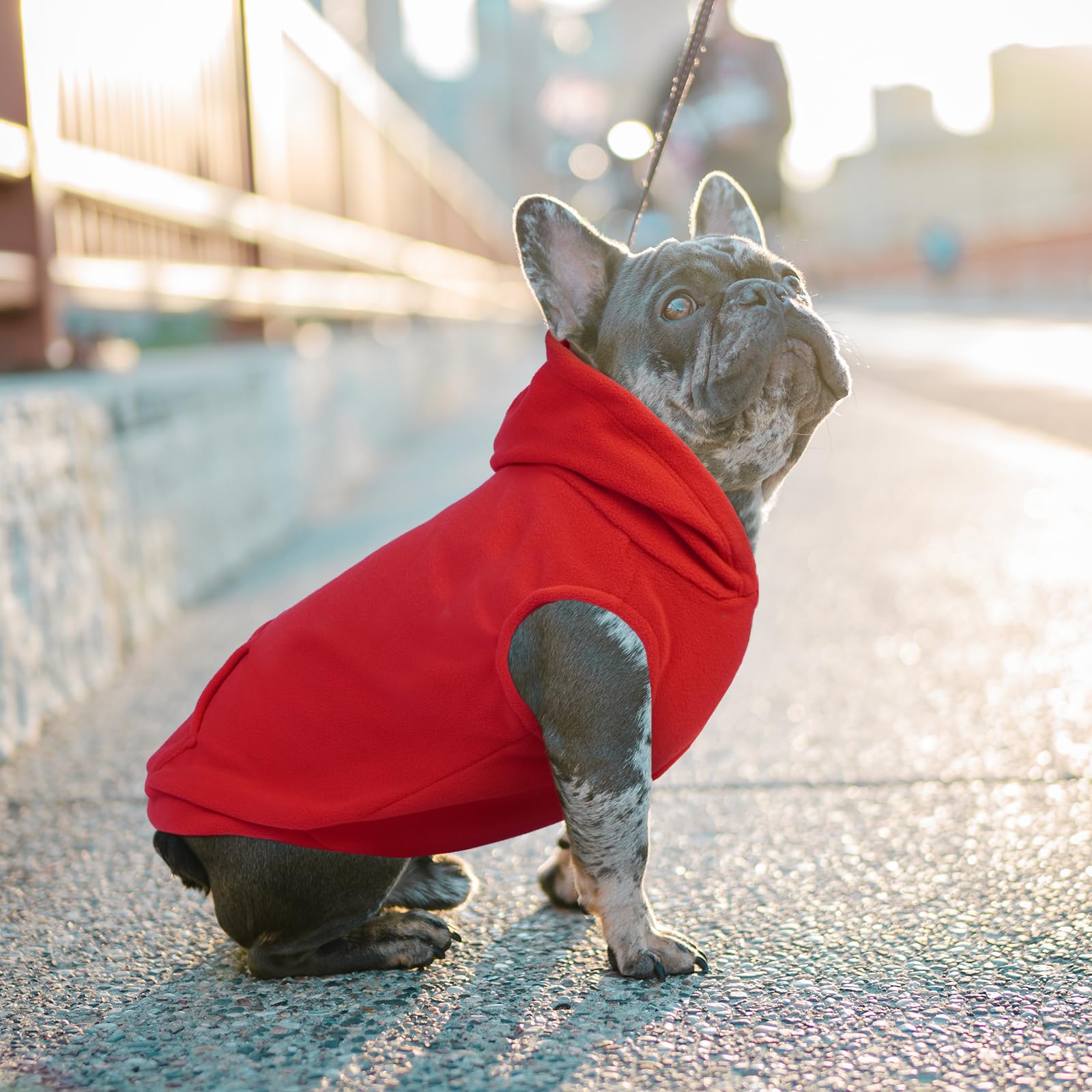Iecoii Dog Sweatshirt For Large Dog,Hooded Fleece Dog Vest With Leash Hole,Xxxl Dog Sweater Large Dog Winter Clothes,Large Breed