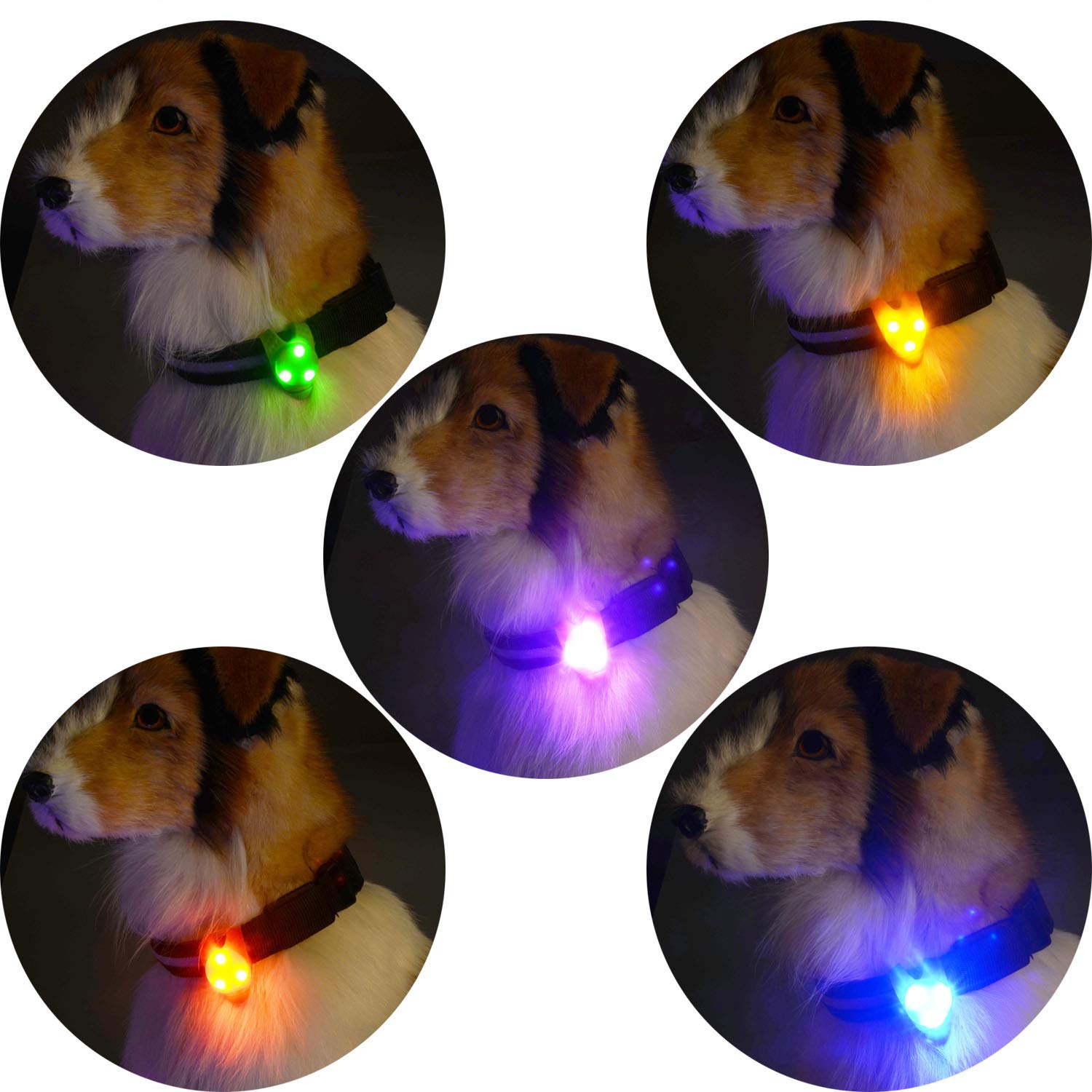 5-Pack Led Light Up Dog Collar Light, Waterproof Dog Cat Pet Safety Strobe Harness Leash Necklace Lights For Large Medium Small Dogs At Night Time Walking Camping Warning Reflective Gear Accessories