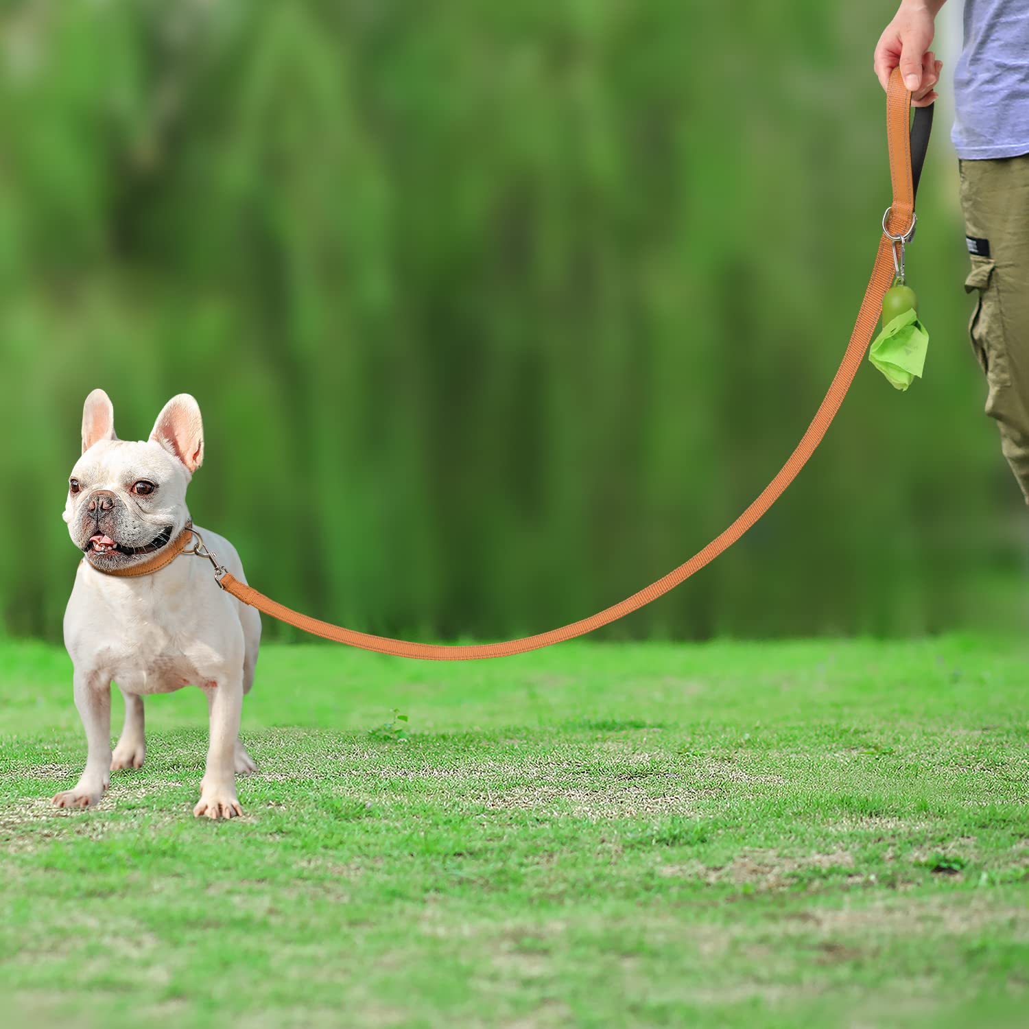 Joytale Double-Sided Reflective Dog Leash, 6 Ft/5 Ft/4 Ft, Padded Handle Nylon Dogs Leashes For Small & Medium Dogs Walking, Brown, 5Ft
