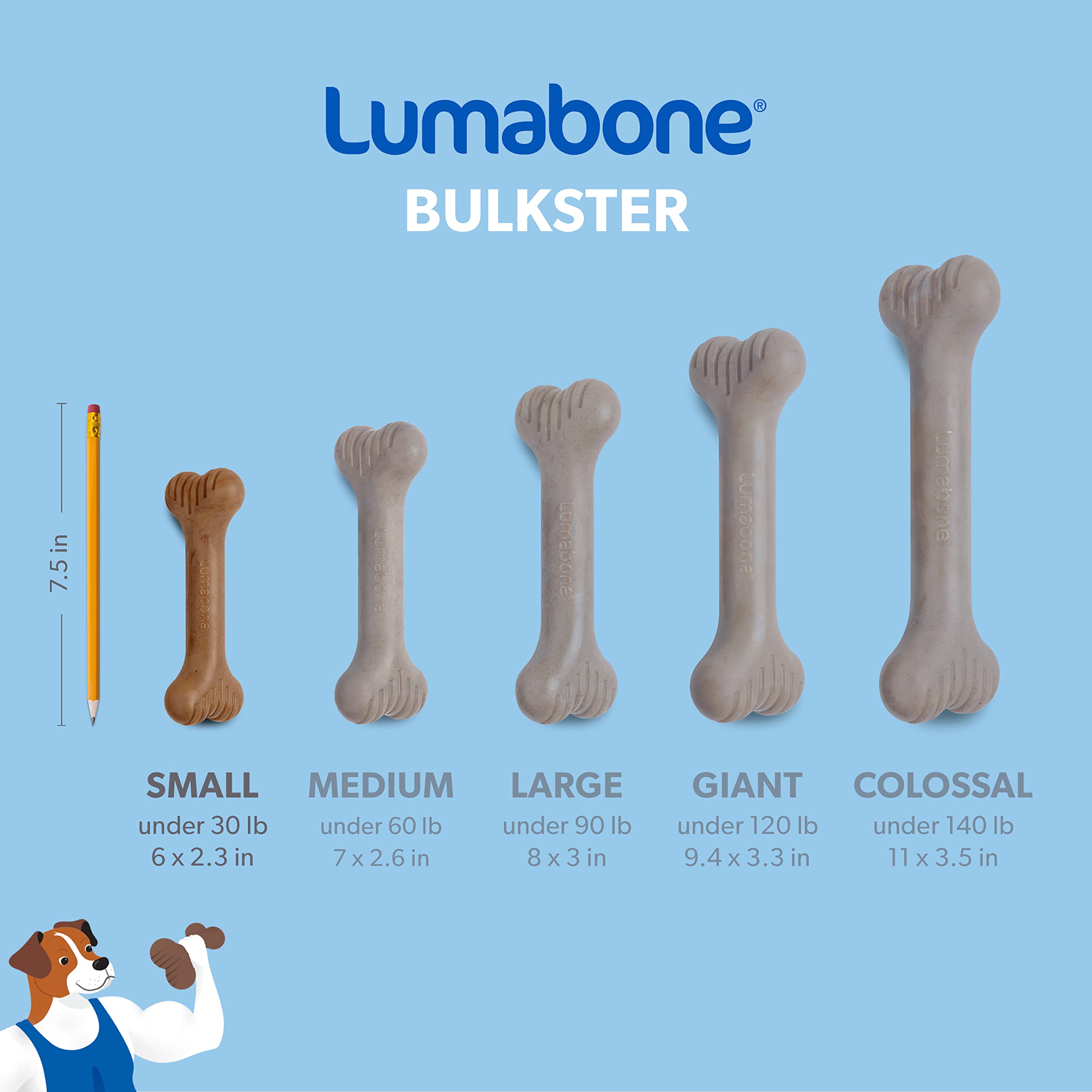Lumabone Bulkster Durable Chew Toy For Aggressive Chewers, Real Beef, Made In Usa, Small