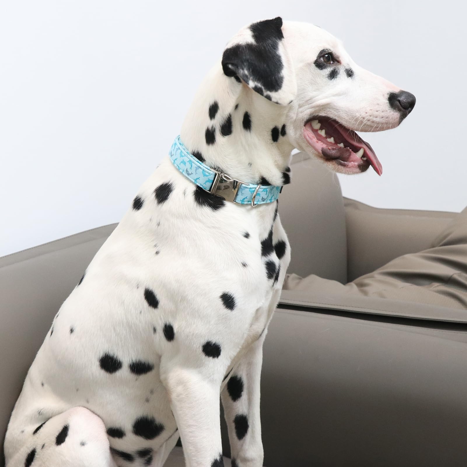Mr. Chubbyface Spring Summer Dog Collar, Cute Blue Dolphine Dog Collar, Adjustable Durable Soft Natural Fabric Pet Collar For Sm