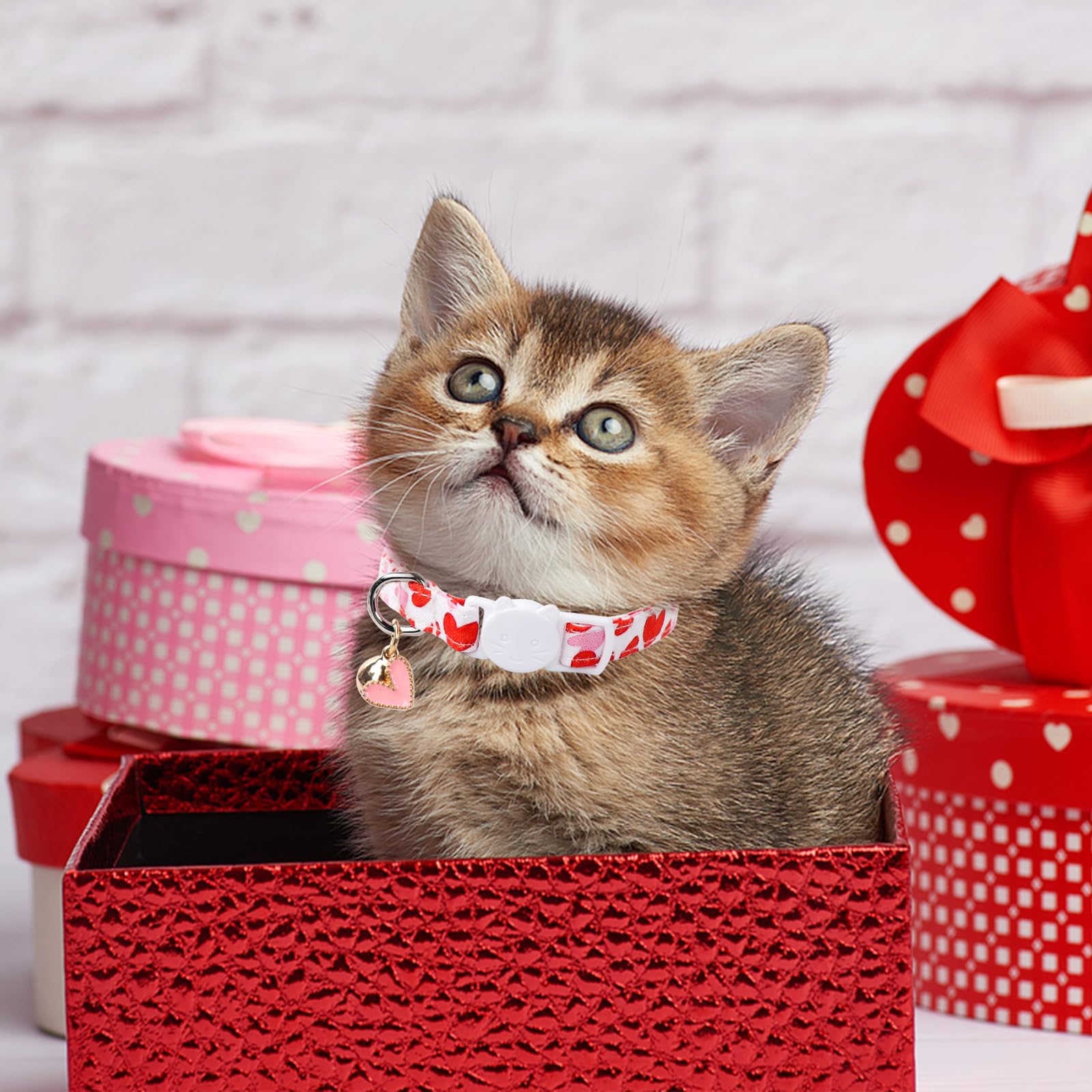 2 Pack Valentine'S Day Paws Cat Collar With Bell, Unique Style, Breakaway Buckle, Cute Heart Love Pattern, Ideal Gift For Boy Or