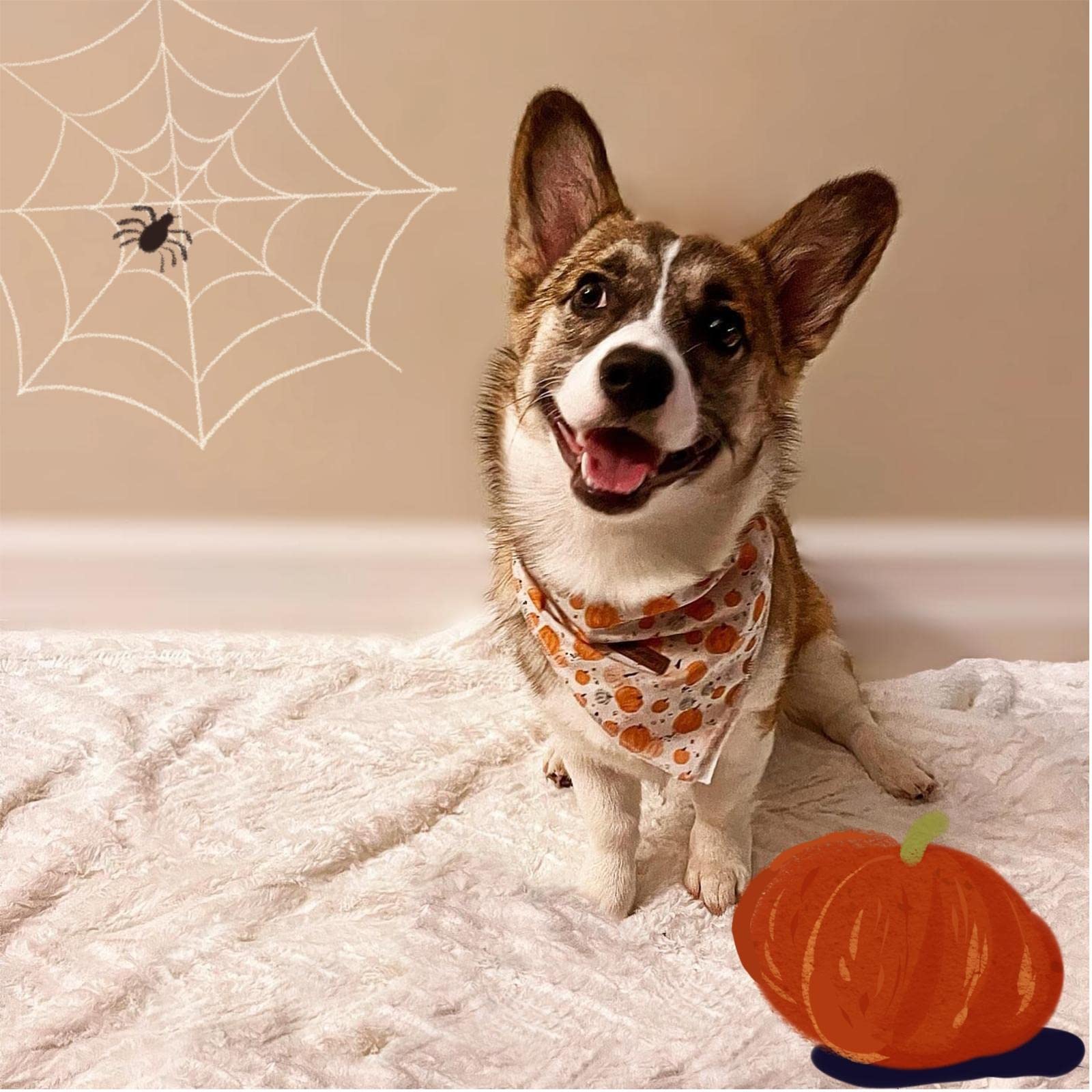 Lionheart Glory Dog Bandana 1 Pack Washable Soft Cotton Halloween Pumpkin Bibs Scarf, Adjustable Kerchief Square Dog Bandanas For Large Dogs