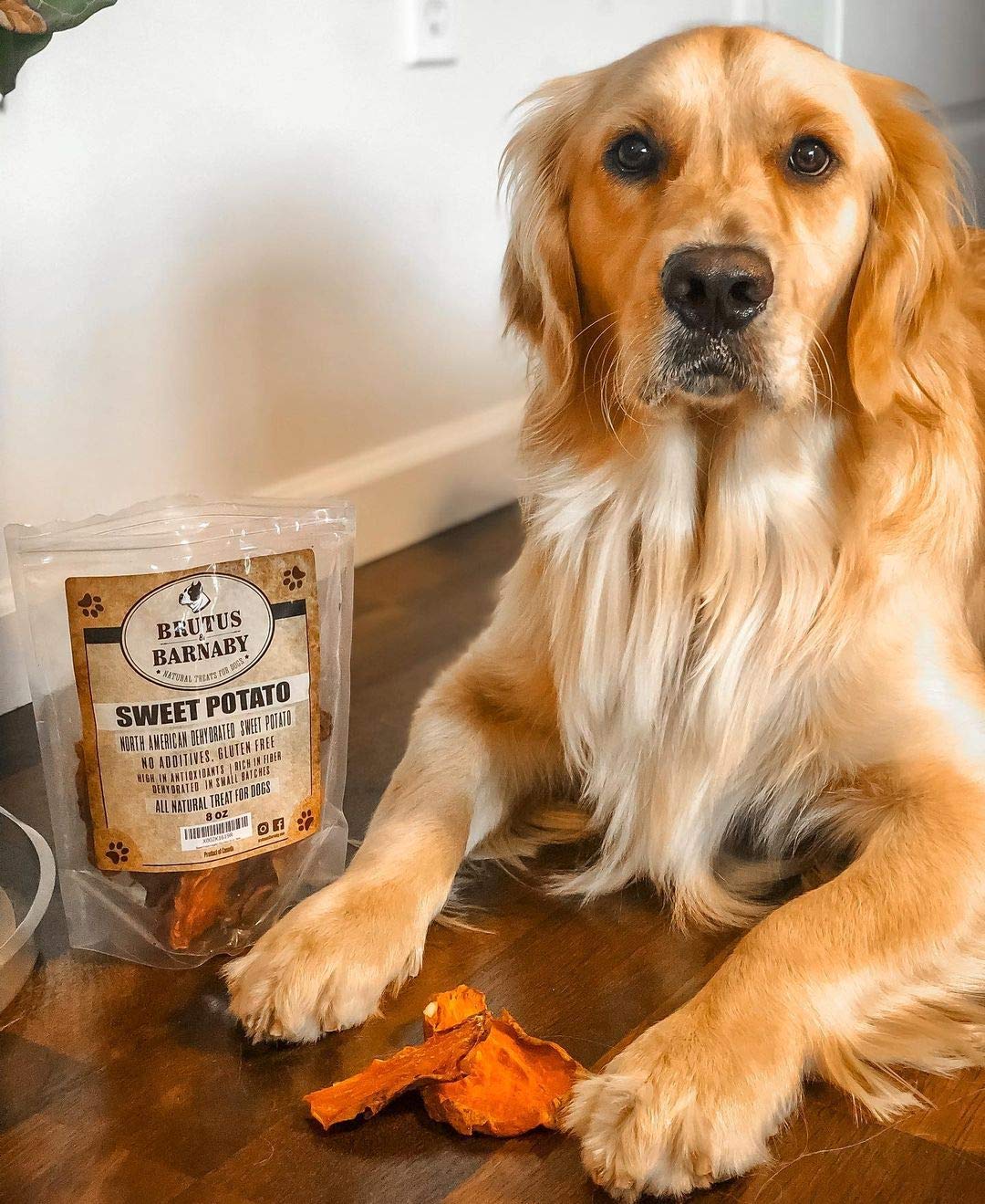 BRUTUS & BARNABY Sweet Potato Dog Treats - Support Sensitive Stomachs with USA-Grown, Hypoallergenic Treats That Smell as Good a