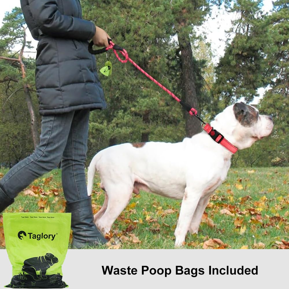 Taglory Rope Dog Leash 4 Ft With Comfortable Padded Handle, Highly Reflective Threads Leash For Medium Large Dogs, 1/2 Inch, Pin