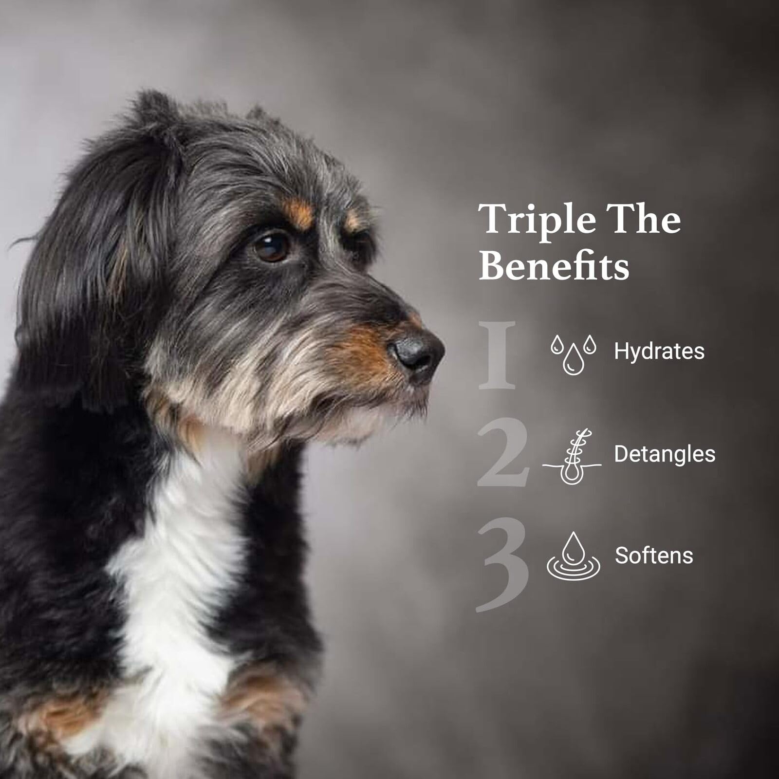 Igroom Silicone Free 3-1 Dog Conditioning/Detangling Spray, Luxury Pet Beauty Care, Hydrating, Paraben And Phthalates Free, Made