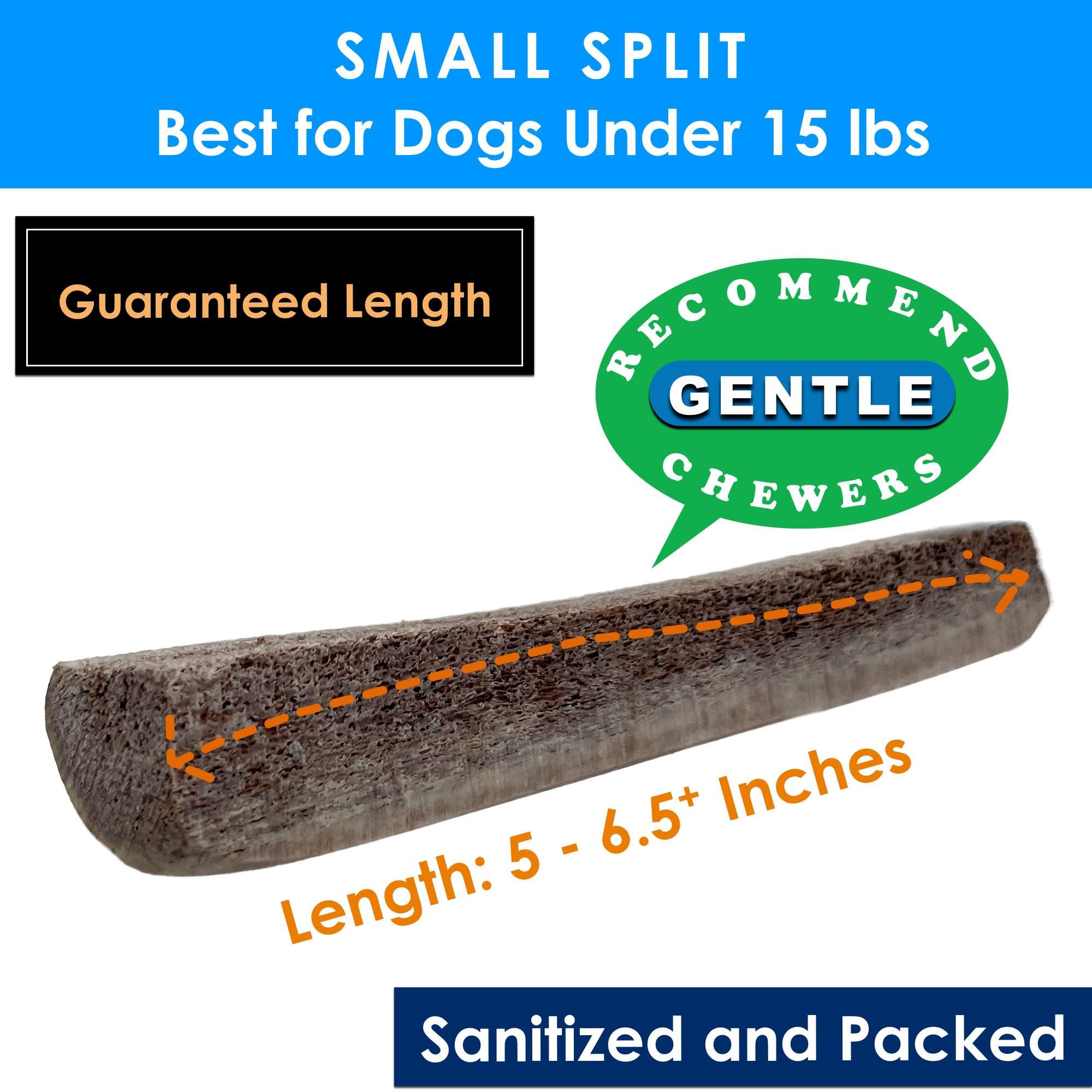 Deluxe Naturals 2-Pack Small Split Elk Antler Dog Chews (5 to 6.5+ in) - All Natural, Premium Grade A, Odor-Free, USA-Sourced -