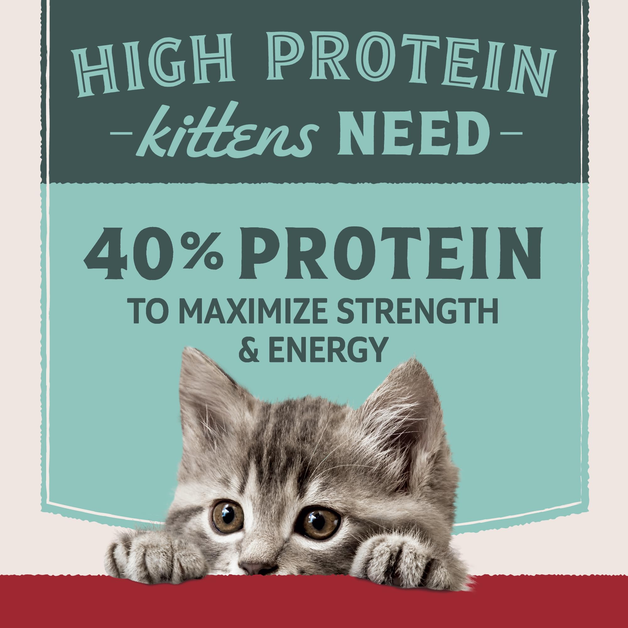 Natural Balance Ultra Protein Kitten Dry Cat Food, Real Chicken & Chicken Meal Recipe with Protein-Rich Organs - 6 lbs.