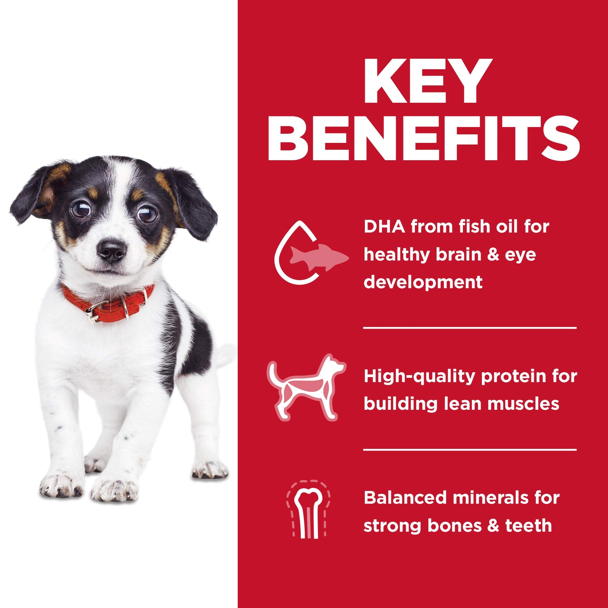Hills Science Diet Puppy, Puppy Premium Nutrition, Dry Dog Food, No Corn, Wheat, Soy Chicken & Brown Rice, 4 lb Bag