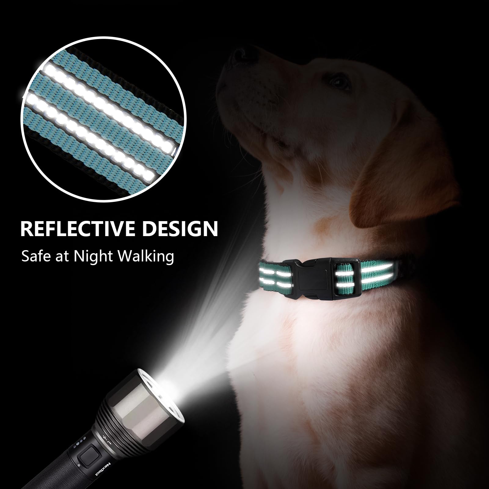 Hikiko Martingale Dog Collars Reflective Nylon Dog Collar With Quick Release Buckle Adjustable Training No Slip Dog Collar (Small, Sky Blue)