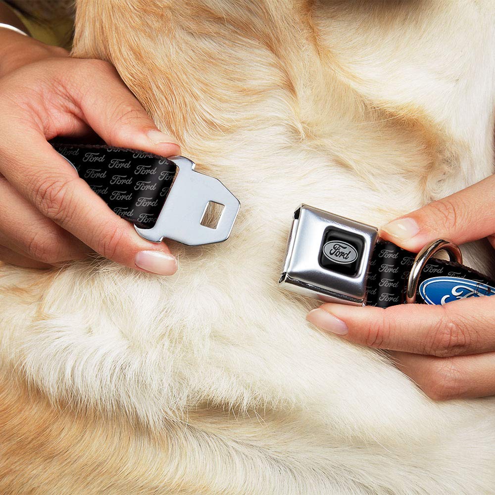 Buckle-Down Seatbelt Buckle Dog Collar - Ford Oval Repeat W/Text - 1.5'' Wide - Fits 16-23'' Neck - Medium