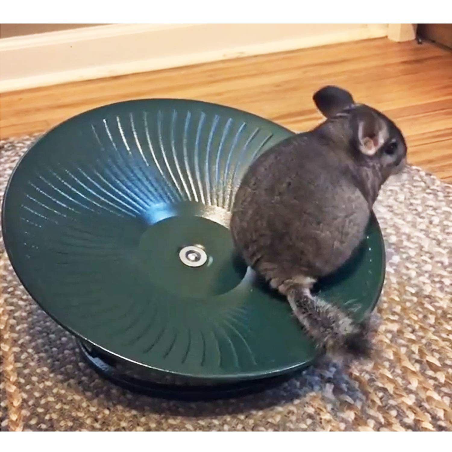 Exotic Nutrition 14 Black All Metal Treadmill Wheel for Small Pets - Silent, Smooth, Durable Exercise Wheel for Chinchillas, Hamsters & More