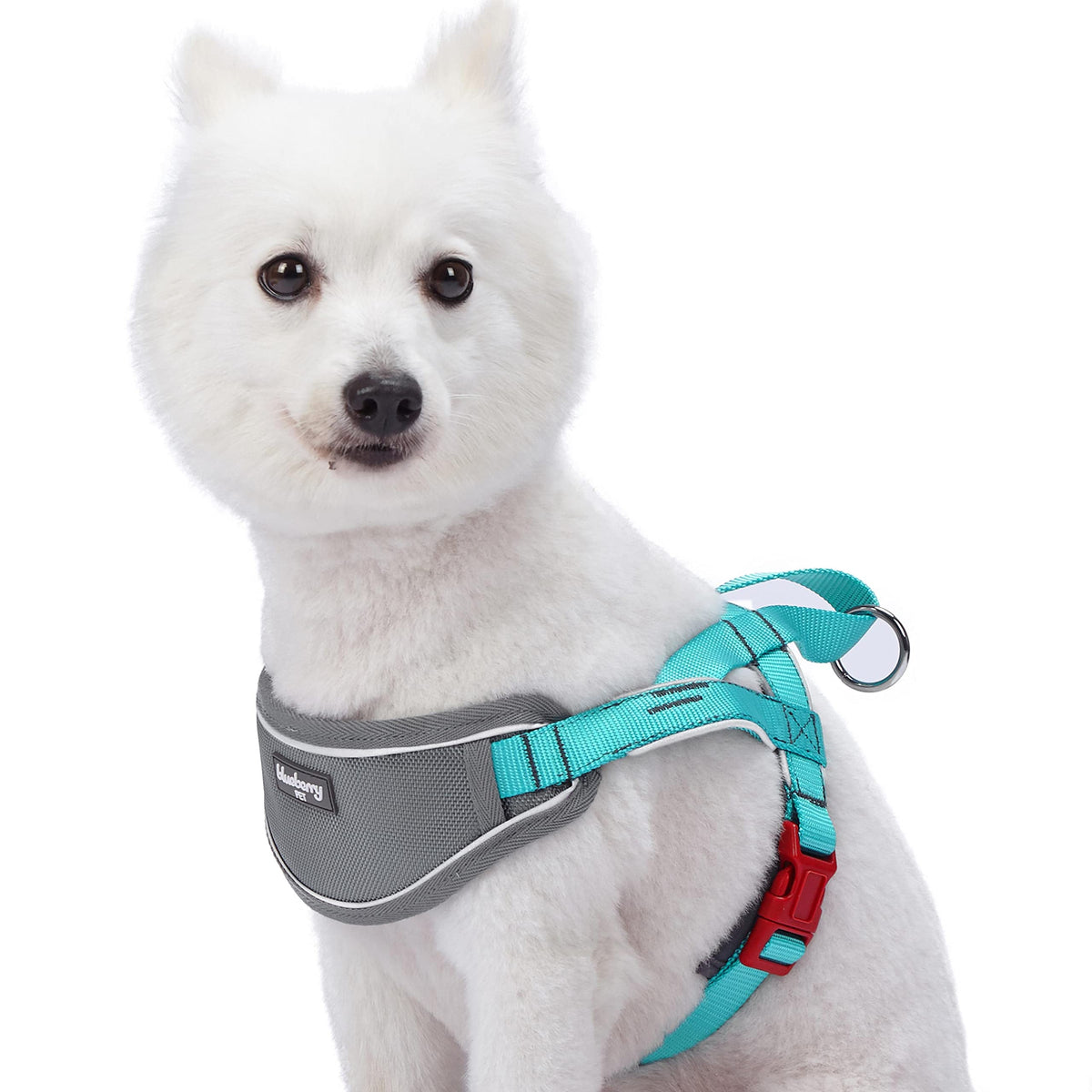 Blueberry Pet 8 Colors Soft & Comfy 3M Reflective Strips Padded Dog Harness Vest, Chest Girth 20.5' - 26', Lake Blue, Medium, Nylon Adjustable Training Harnesses For Dogs