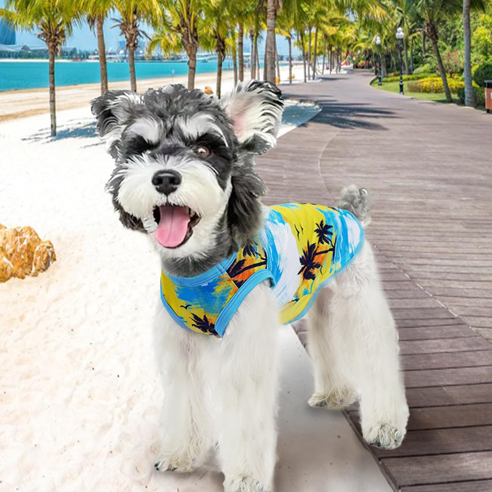 Xpudac 4 Pack Dog Shirts Cooling Quick Dry Summer Dog Clothes For Small Dogs Boy Girl Lightweight Breathable Dog Cooling Vest -M