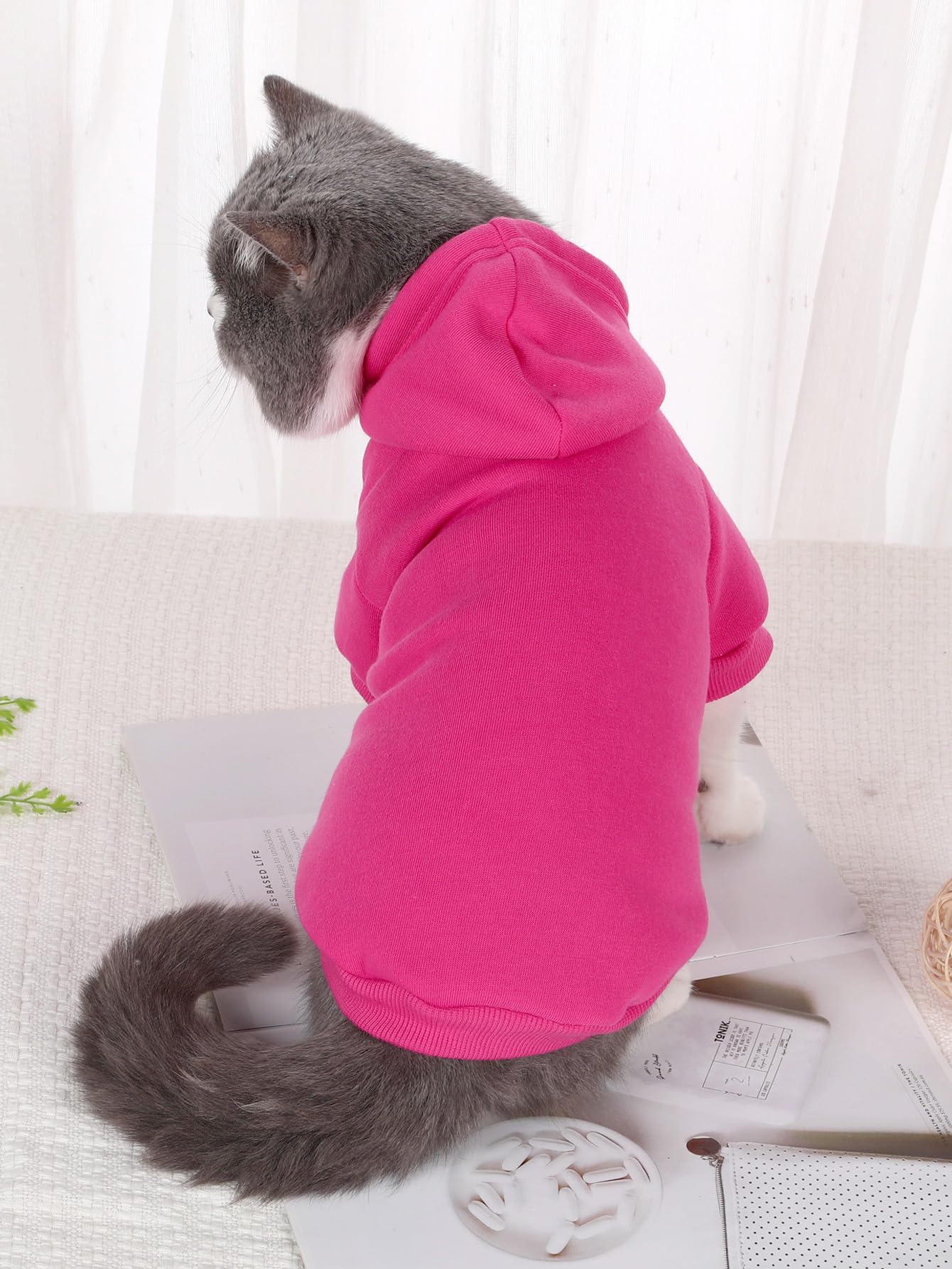 Qwinee Basic Dog Hoodie, Dog Warm Jacket, Cat Apparel, Dog Shirt, Dog Clothes For Puppy Kitten Small Medium Dogs Cats Hot Pink S