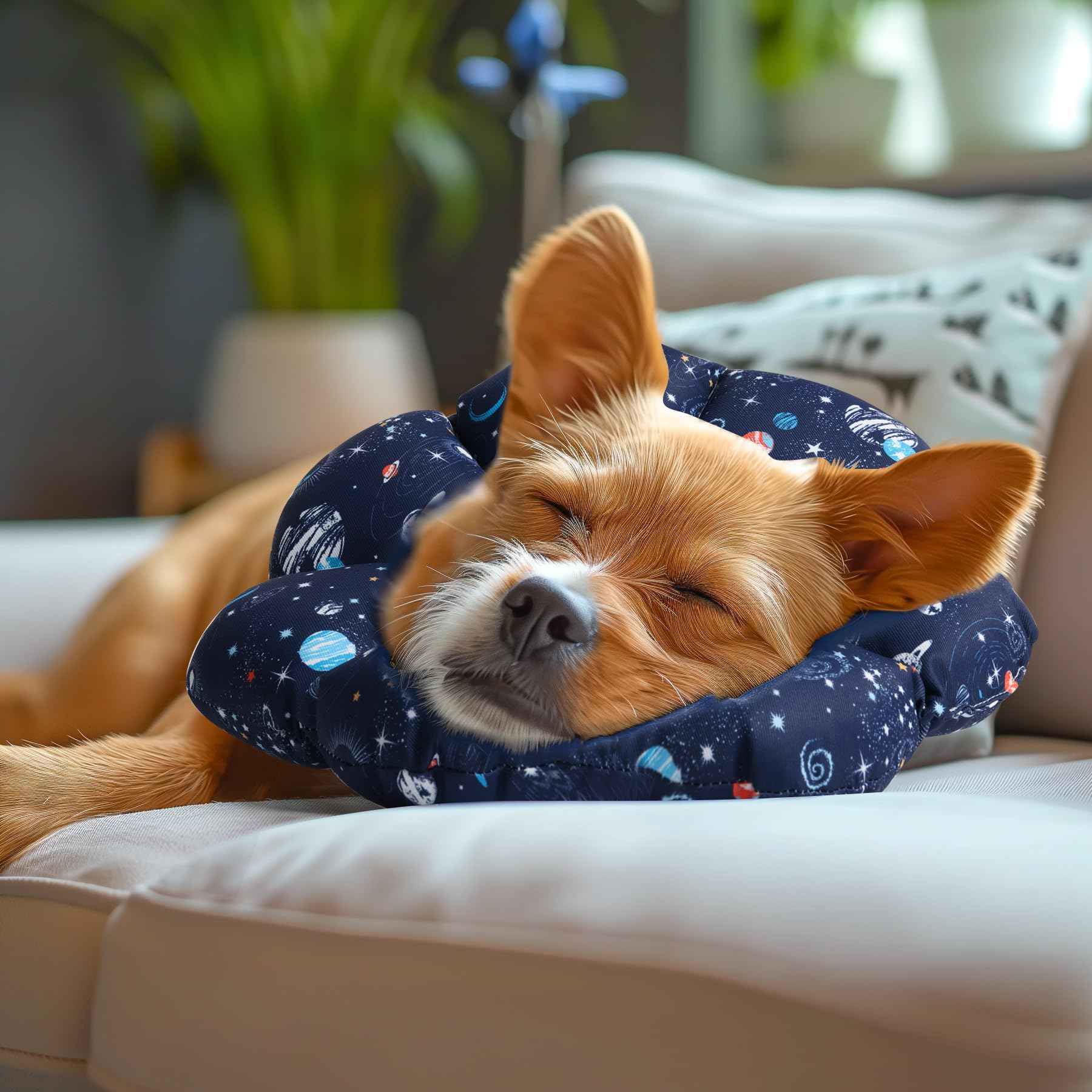 ComSaf Soft Dog Recovery Collar, Protective Adjustable Pet Cone Collar for After Surgery, Comfortable Lightweight Elizabethan Co