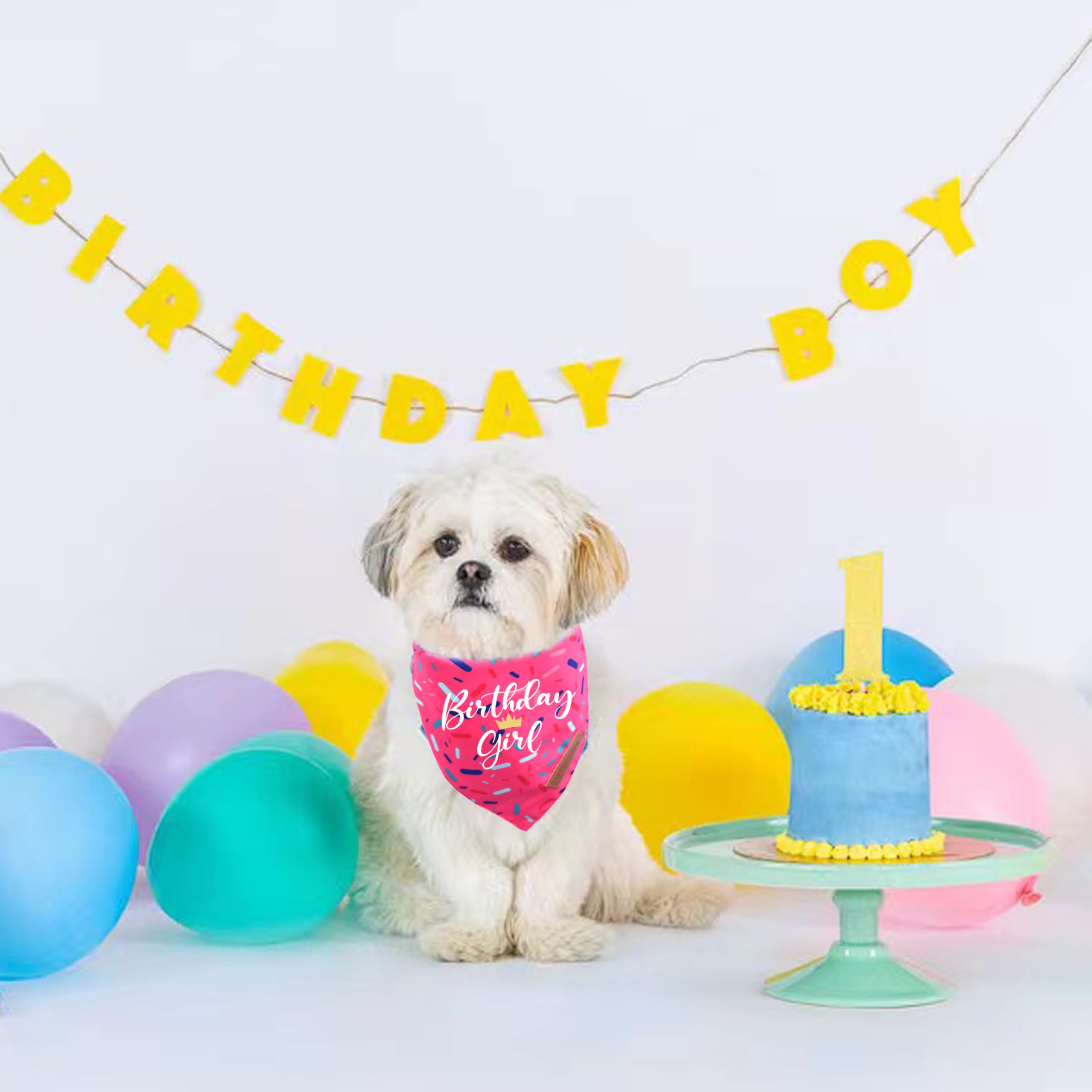 Realeaf Birthday Girl Dog Bandana, Dog Birthday Party Supplies,Premium Durable Fabric, Bandana For Small And Medium Dogs Pets (P