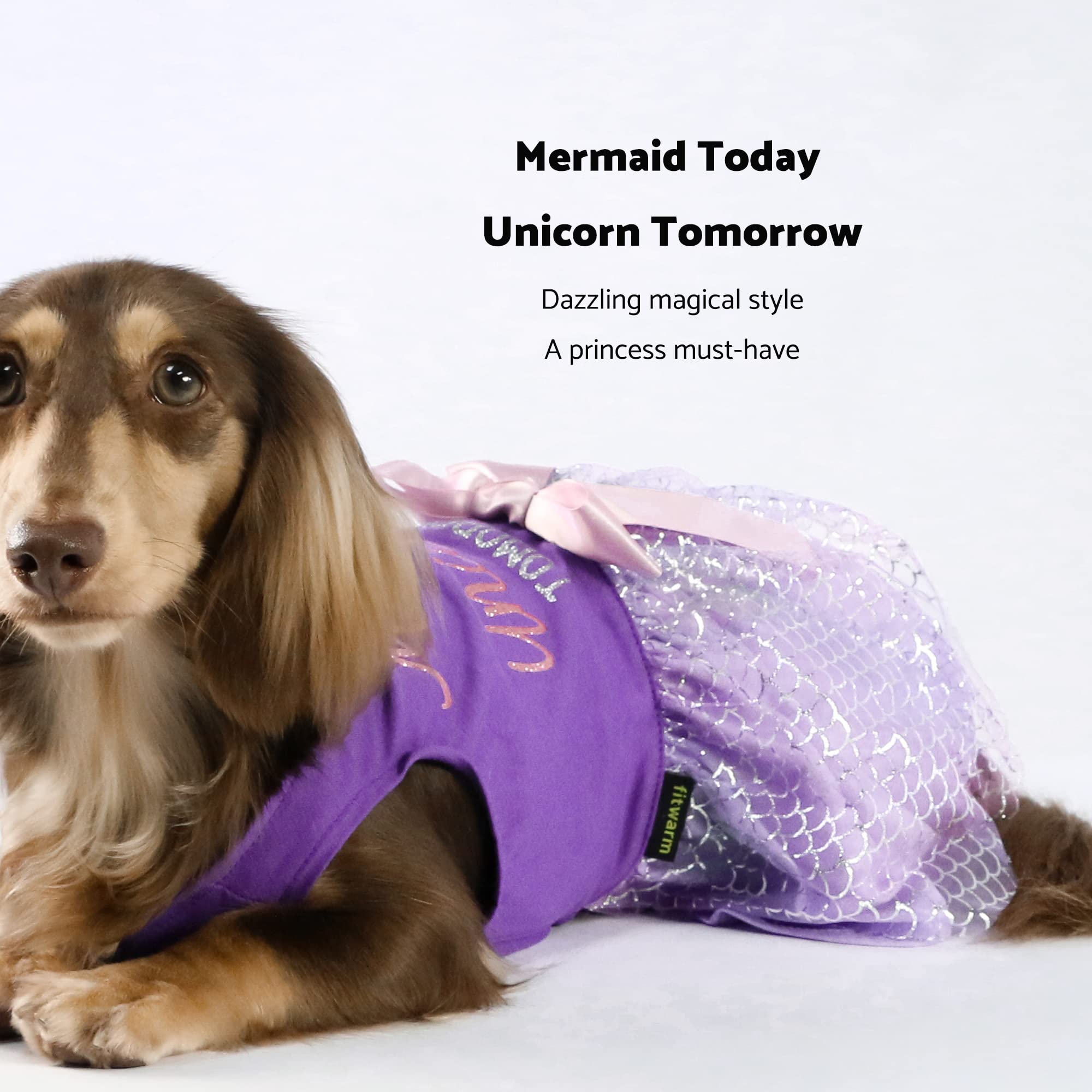 Fitwarm Mermaid Today Unicorn Tomorrow Dog Tulle Dress, Sparkly Dog Clothes For Small Dogs Girl, Pet Beach Costume, Cat Summer O