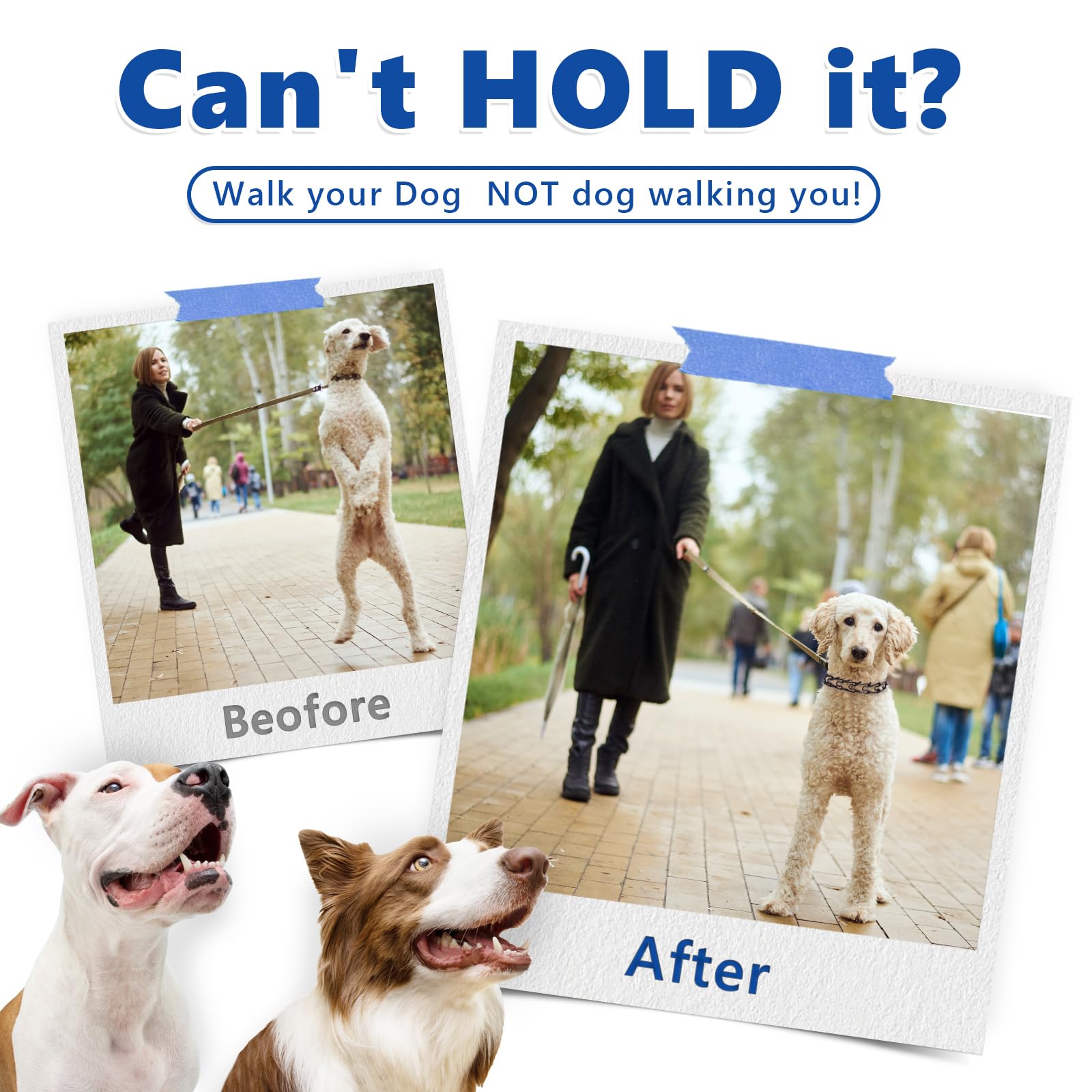 Supet No Pull Dog Training Collar, Adjustable Dog Training Collar With Buckle For Small Medium Large Dogs(Packed With One Extra