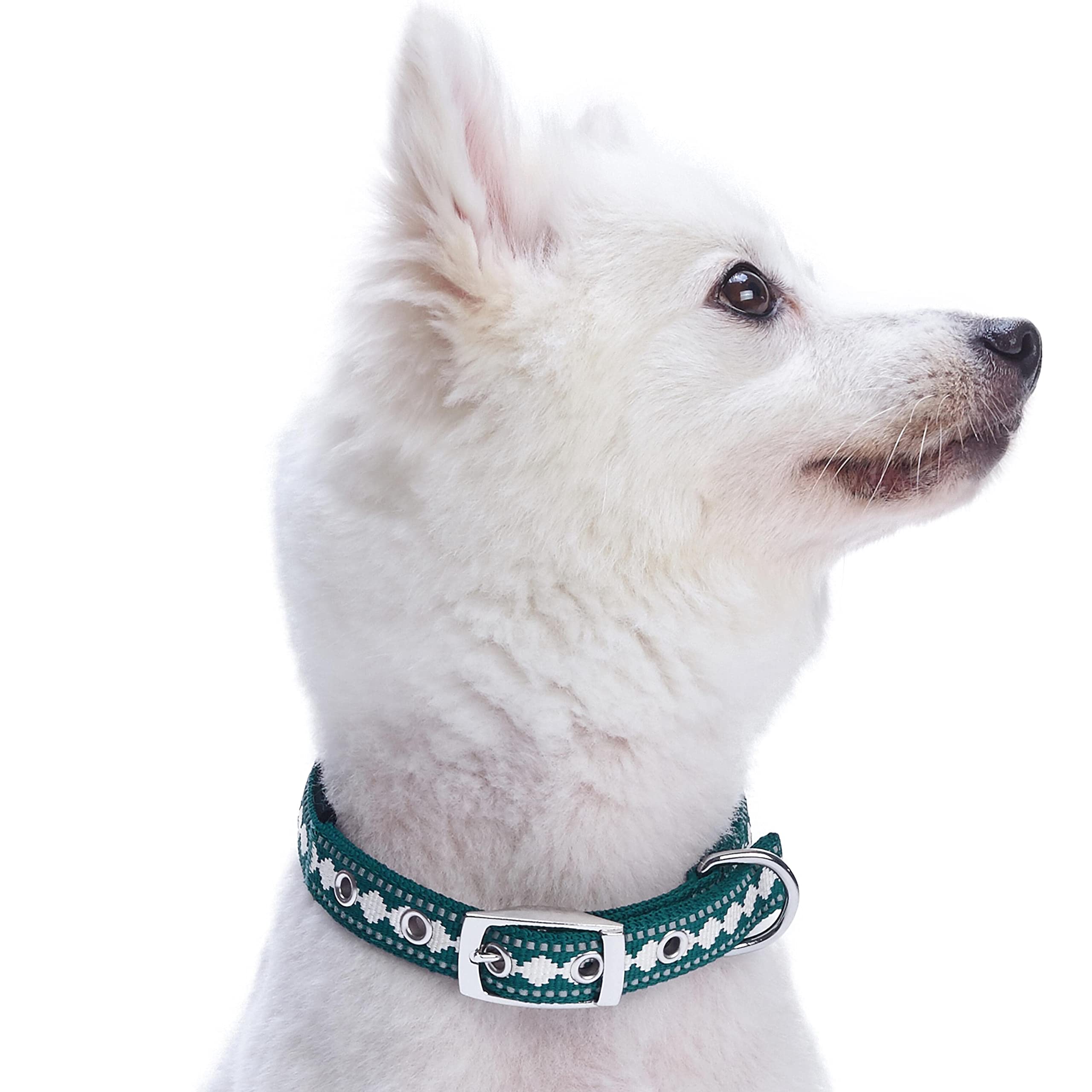 Blueberry Pet 3M Reflective Neck 9-12.5'' Jacquard Neoprene Padded Dog Collar With Metal Buckle - Teal Blue, For Small Breed