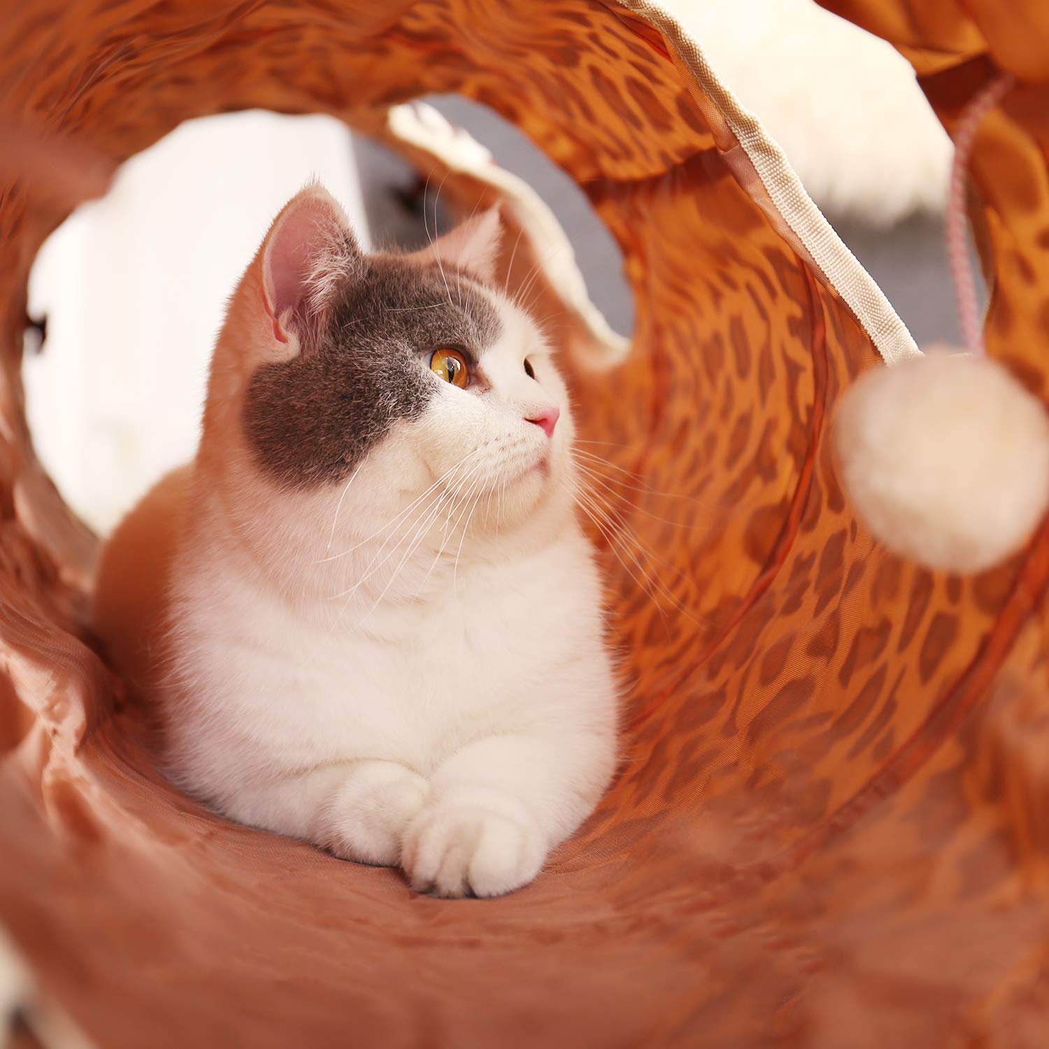 Pawz Road Cat Toys Collapsible Tunnel Dog Tube For Fat Cat,Rabbits,Dogs Length 51' Diameter 12'