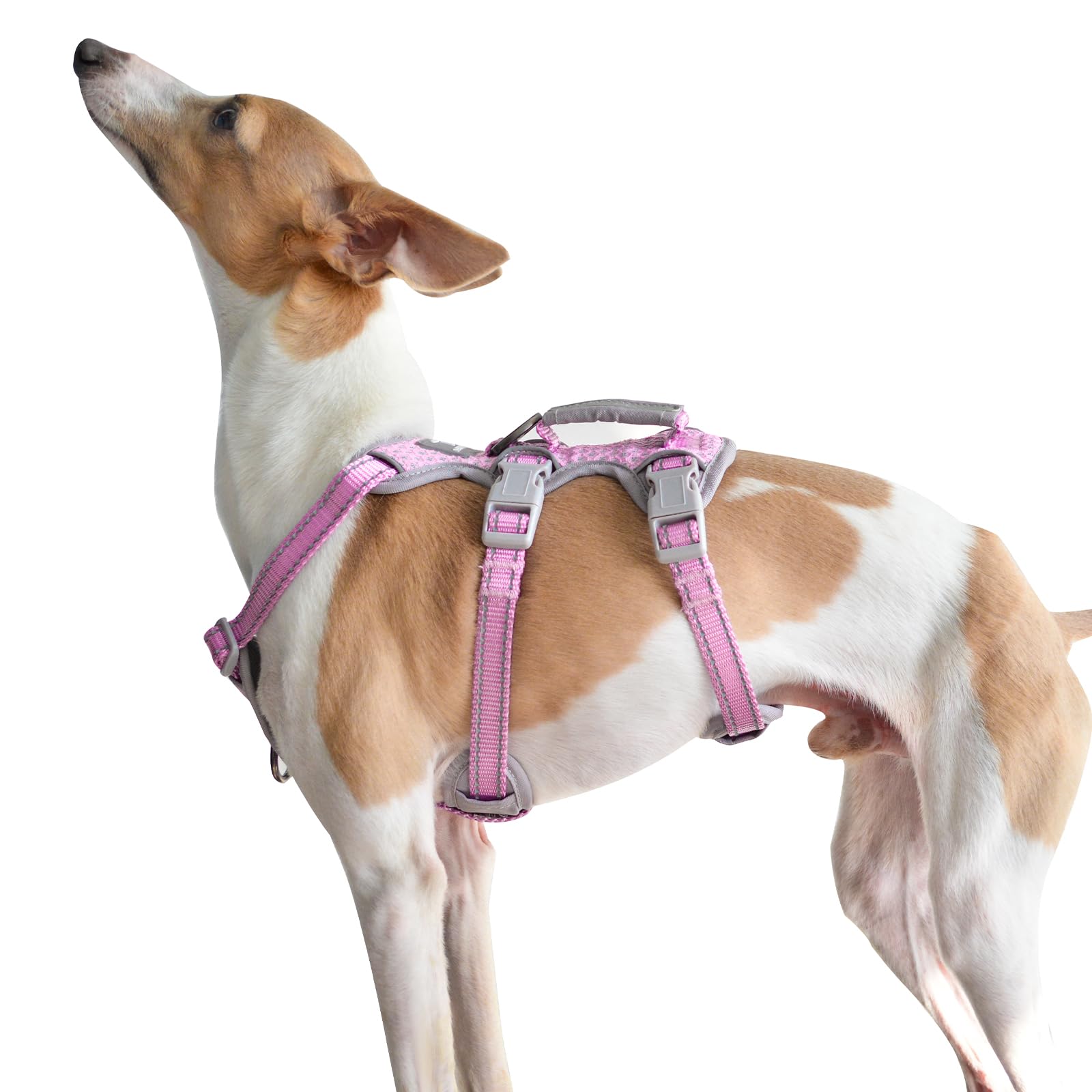 Huntboo Escape Proof Dog Harness, Escape Artist Harness, Fully Reflective Vest With Padded Handle, Breathable,Durable, Adjustabl