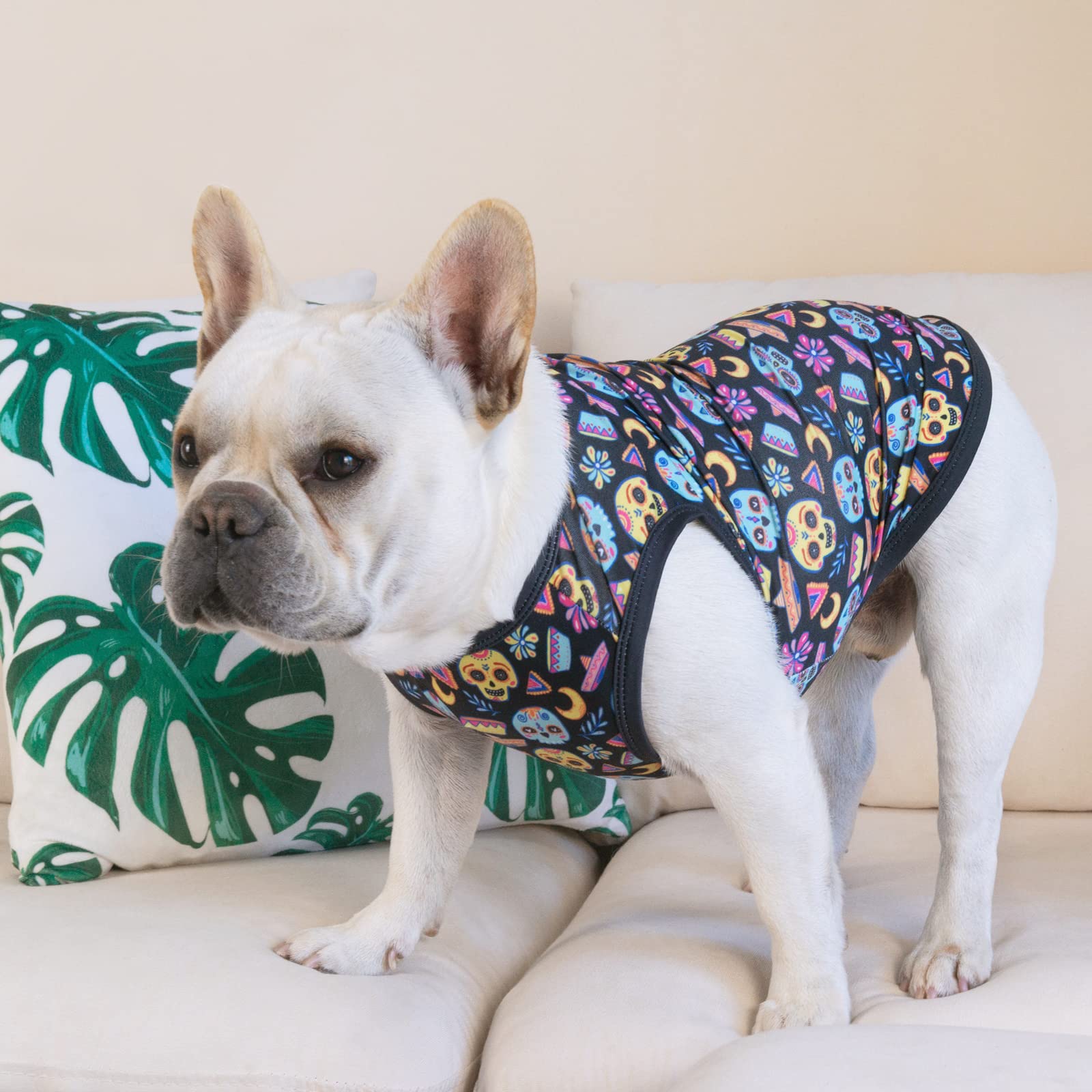 Cutebone Skulls Dog Shirts 2-Pack Soft Pet Clothes Breathable Summer Vest For Small Puppy And Stretchy Cat Apparel 2Bx07S