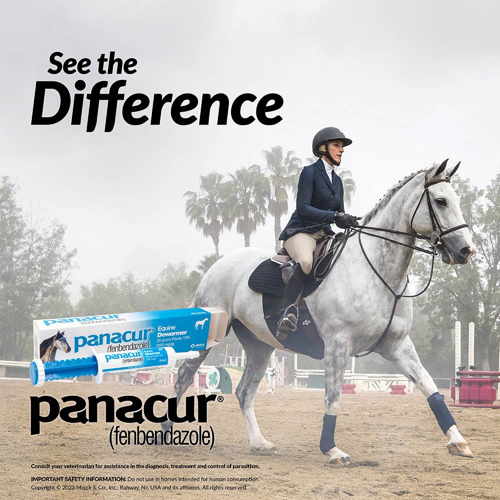 Panacur (3 Pack) Dewormer Horse Paste 10%, 100mg Each