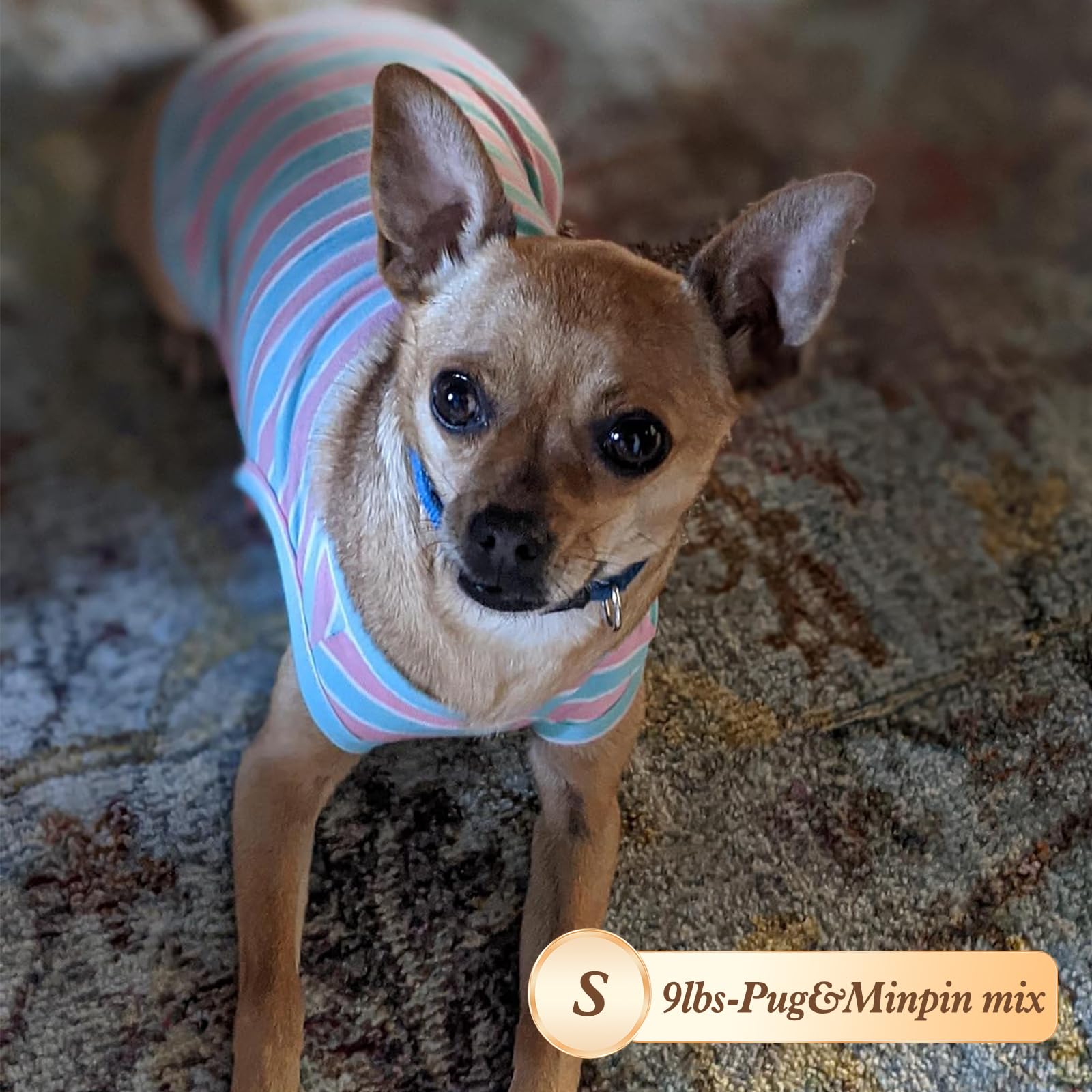 Kyeese 2Pack Dog Shirts Striped T Shirt Soft Tee For Small Dogs Cotton Tank Top Lightweight Sleeveless Vest Dog Clothes, Small,G