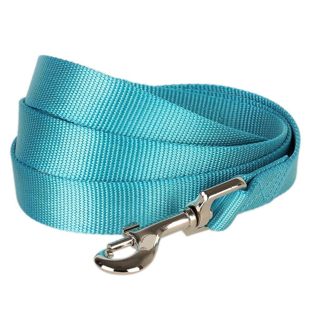 Blueberry Pet Essentials 21 Colors Durable Classic Dog Leash 5 Ft X 3/8', Turquoise, X-Small, Basic Nylon Leashes For Puppies