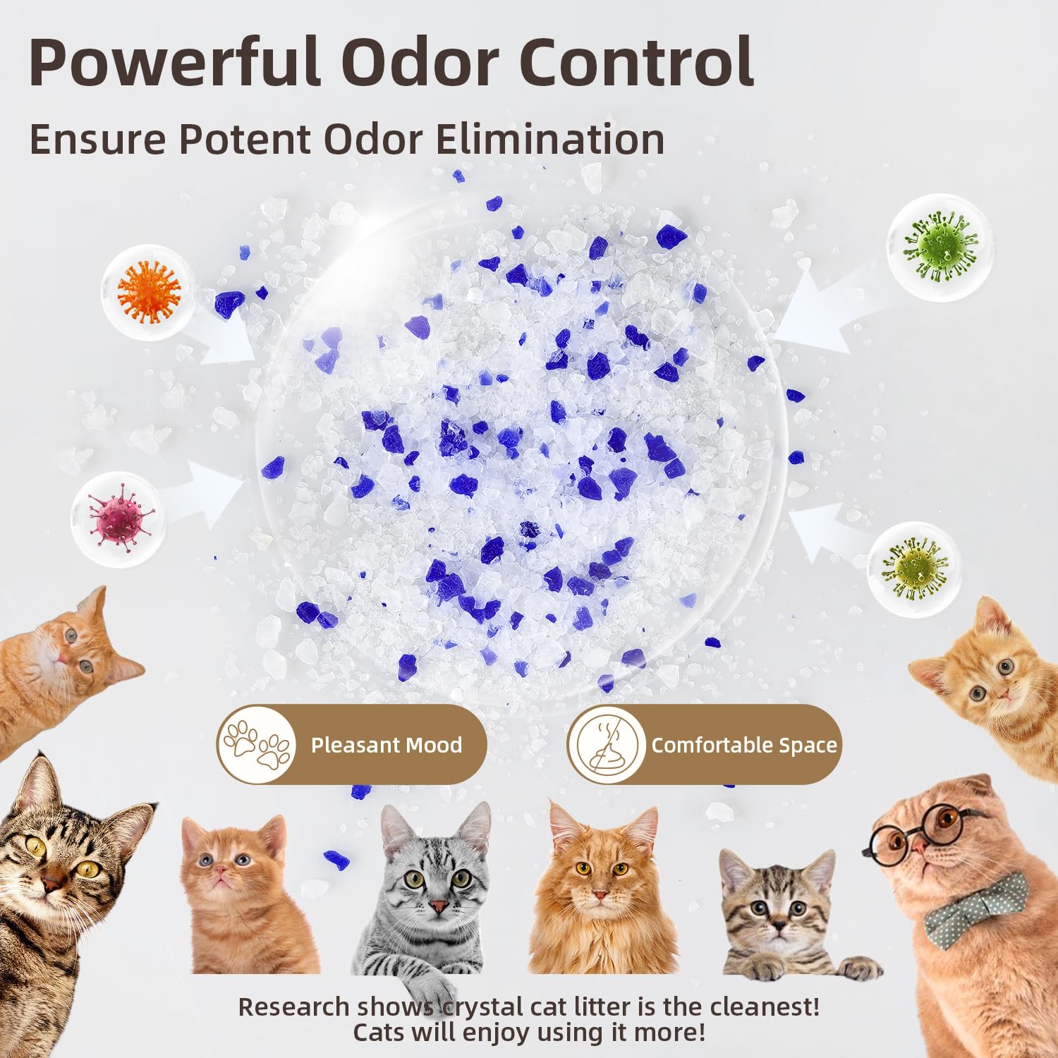 LaSyL Premium Crystal Cat Litter - 34.4 lb, Four Months Lasting - Superior Odor Control & Absorption, Non-Clumping, Low Tracking