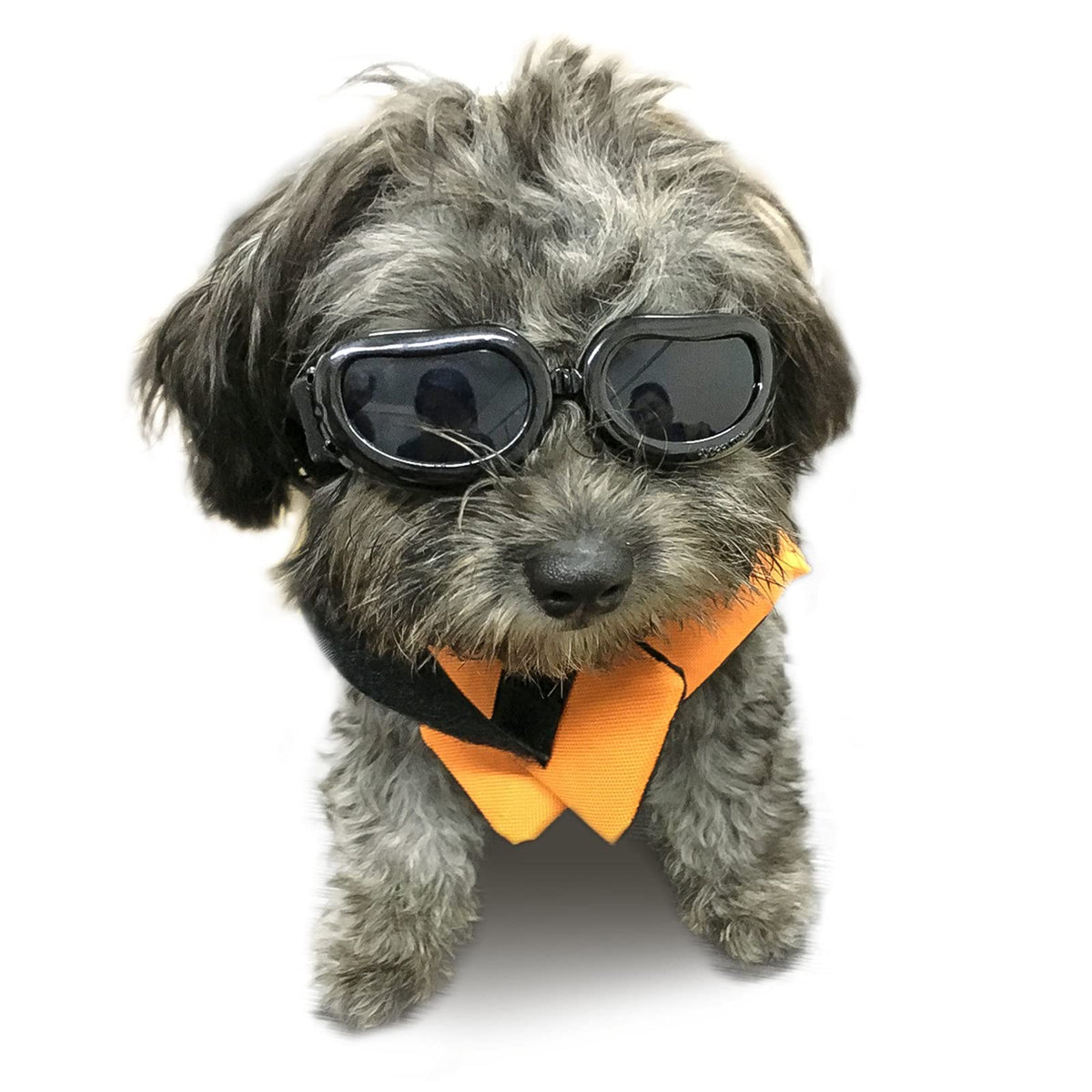 Enjoying Dog Sunglasses Small Breed Dogs Goggles Uv Protection Eye Wear Windproof Anti-Fog Pet Glasses For Doggy About Over 5 Lb