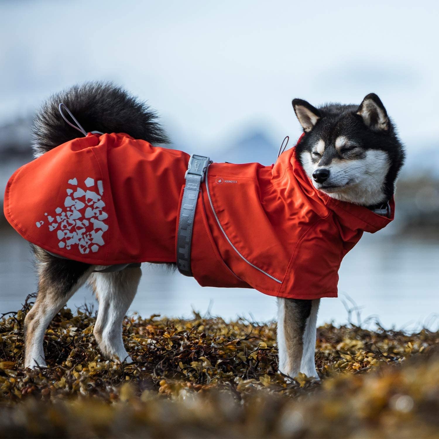 Hurtta Monsoon Coat Eco, Dog Raincoat, Rosehip, 24 In