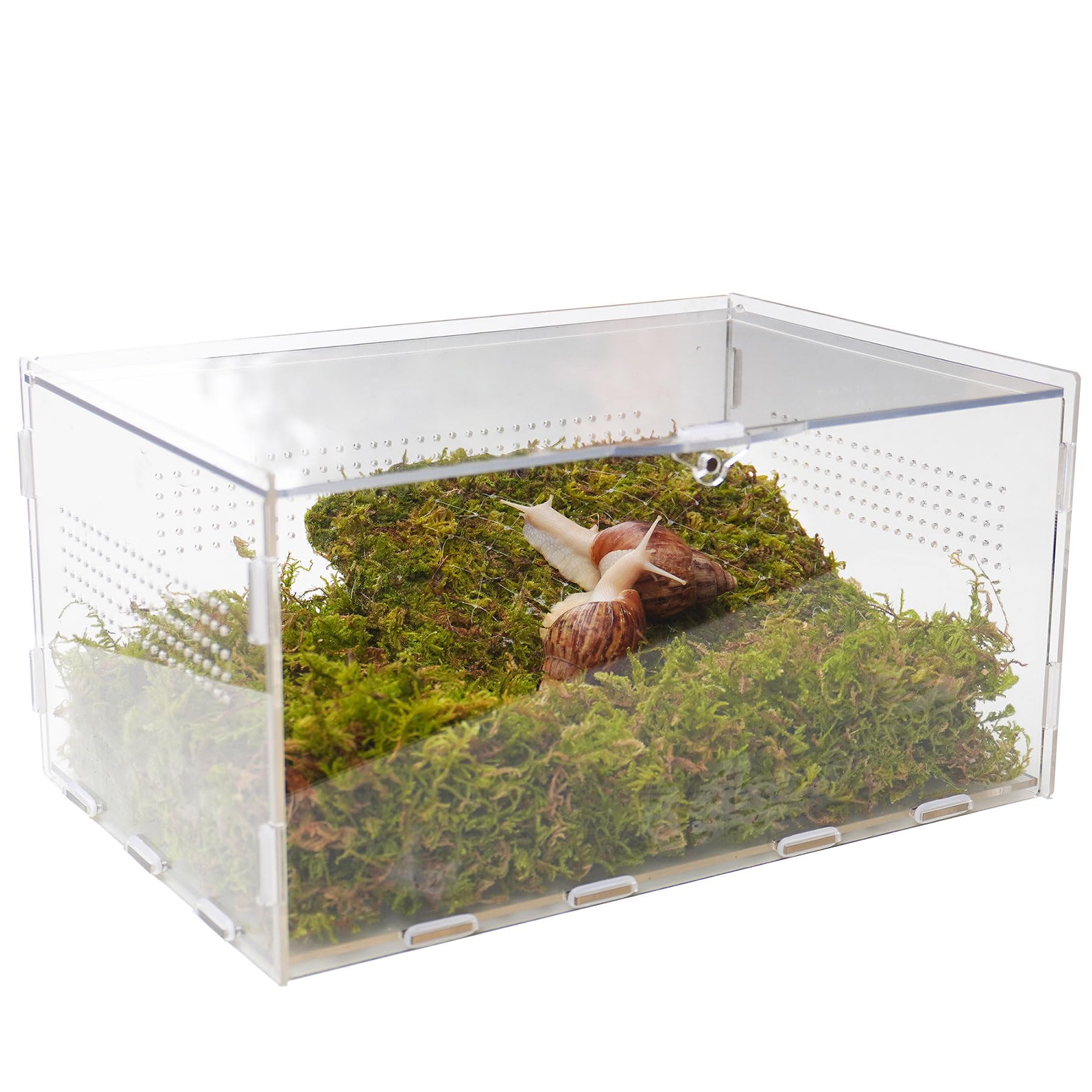 Jinymral Pet Snail Terrarium Kit with 11.22-inch x 7.87-inch x 6-inch Snail Terrarium and a 7-inch Pet Snail Climbing Wall