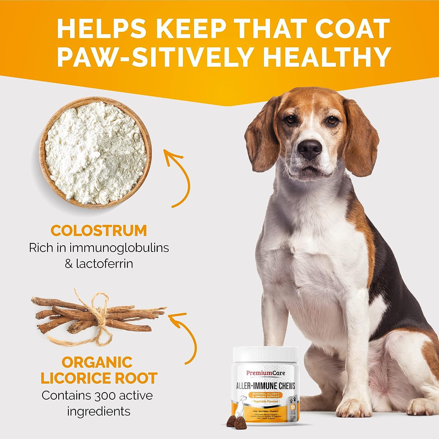 PREMIUM CARE Itch Relief for Dogs - 120 Allergy Chews for Dogs - Anti Itch Seasonal Support for Pets Itchy Skin Relief Skin Heal