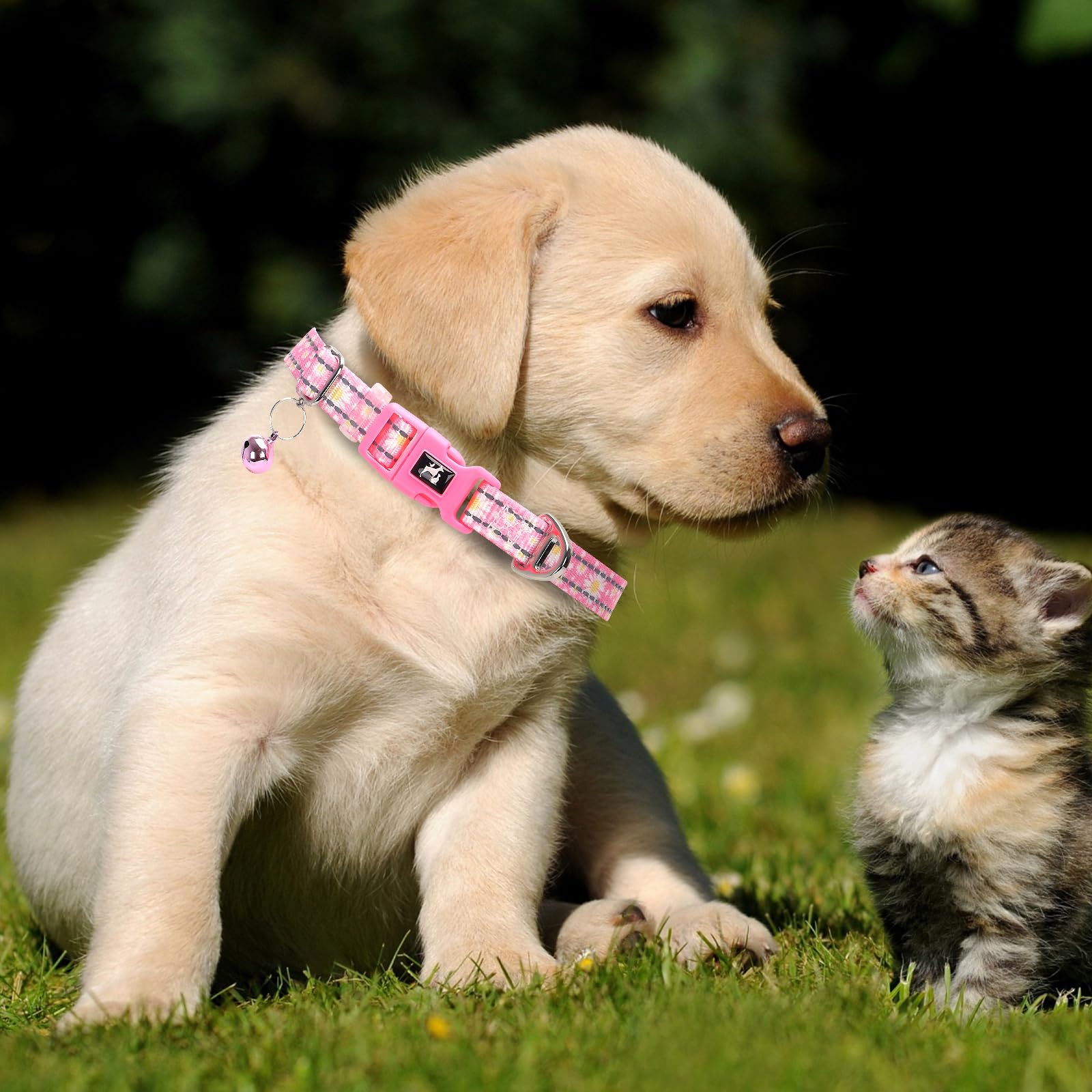 Daisy Reflective Nylon Puppy Collar With Bell - Adjustable Xxs/Xs Small Dog Collar For Chihuahua, Pomeranian, Yorkie - Lightweig