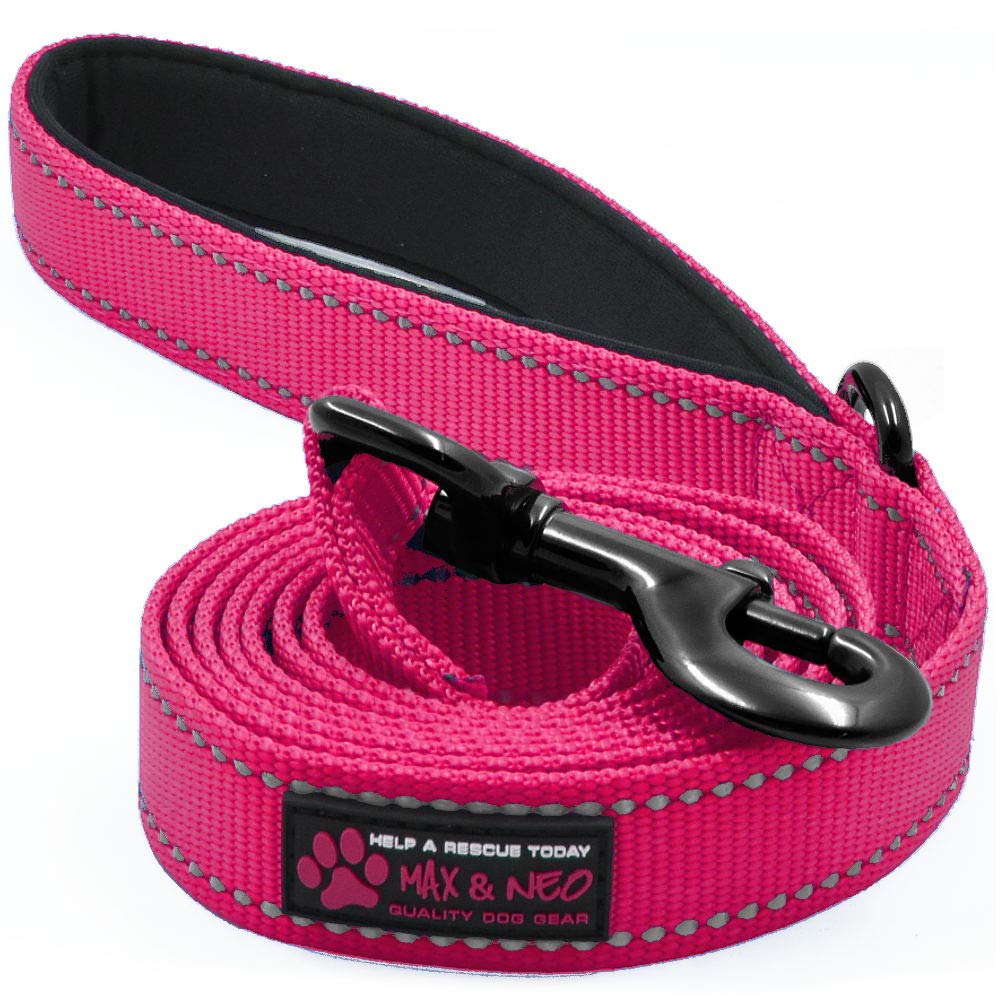 Max and Neo Reflective Nylon Dog Leash - Donate a Leash with Every Purchase (Pink, 4ft)