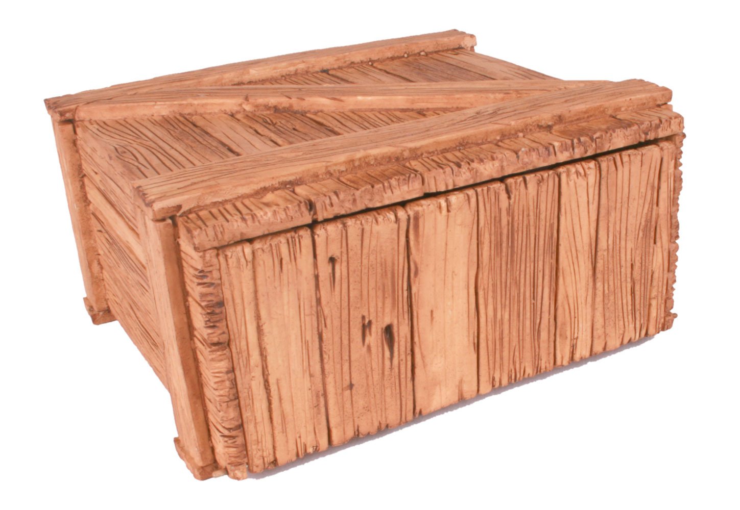 Tarantula Planet Creepy Crate