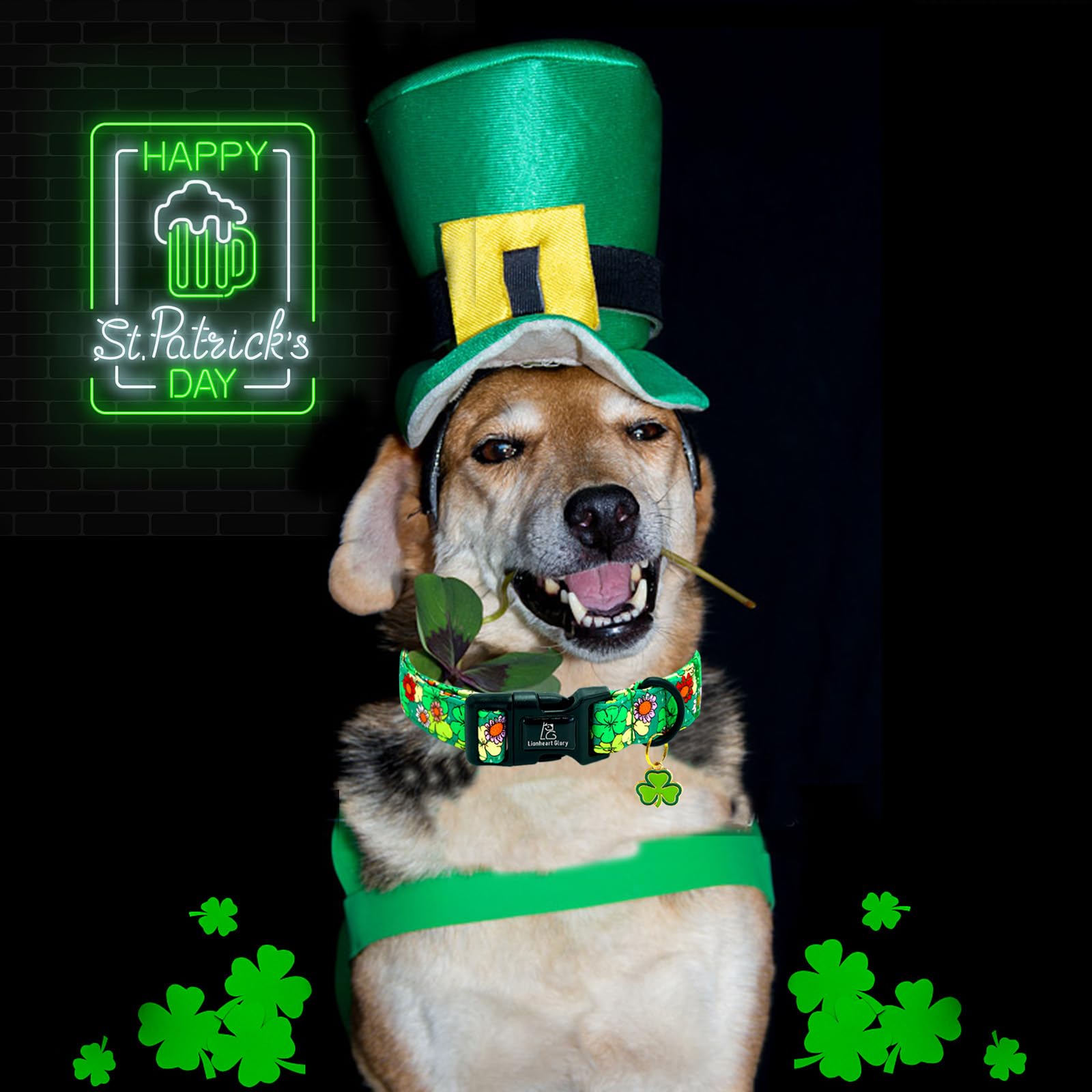 Lionheart Glory St. Patrick Dog Collar-Lucky Clover Shamrock Green Collars For Medium Dogs Spring Trefoil Dog Collar Adjustable
