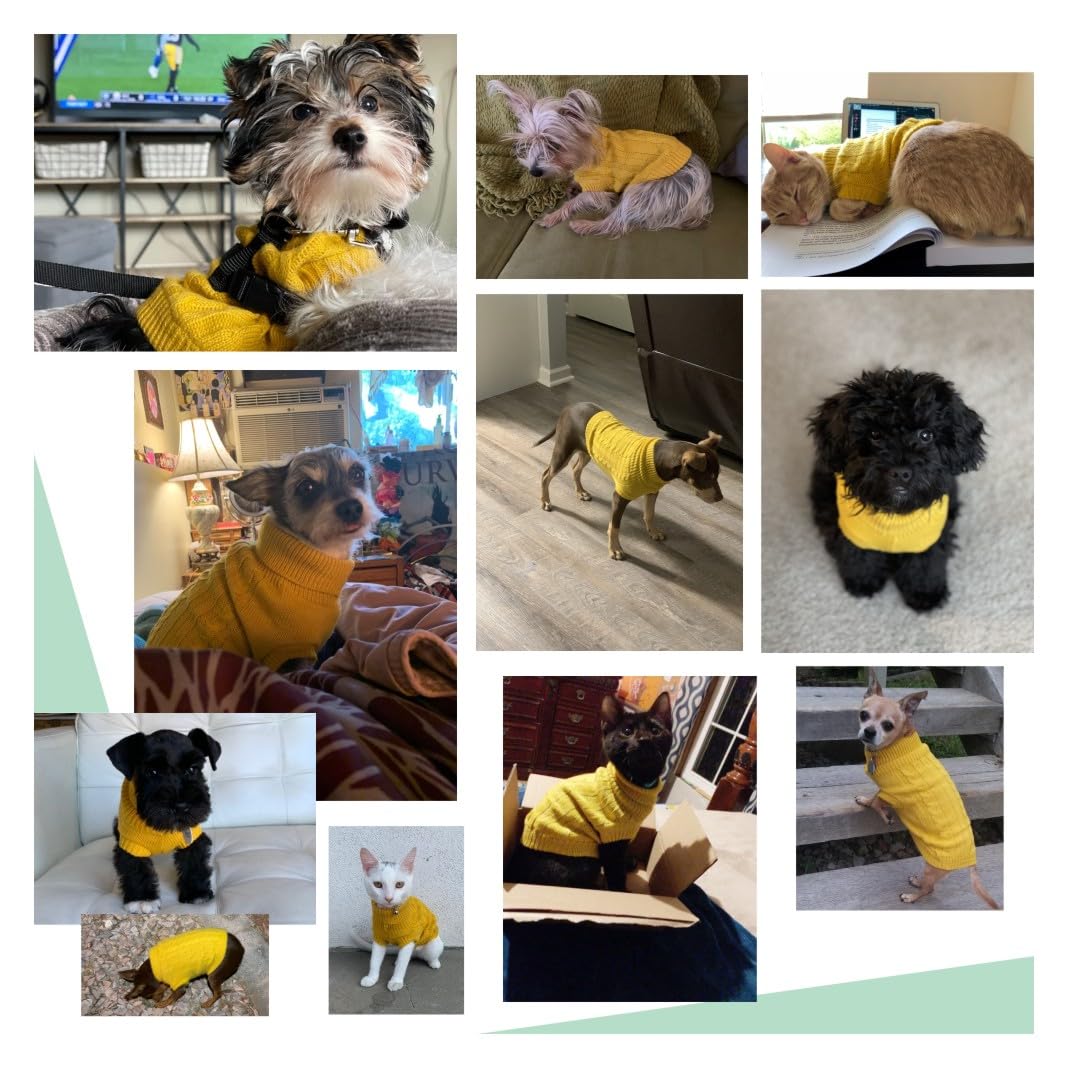 Chborchicen Small Dog Sweaters Knitted Pet Cat Warm Dog Sweatshirt Winter Clothes Kitten Puppy Sweater (Large,Yellow)