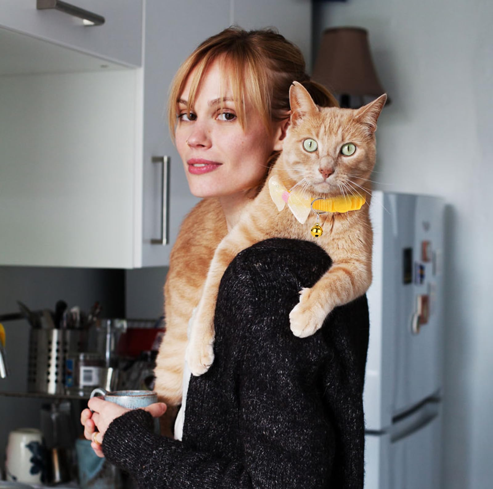 16 Pcs Cute Cat Collars Breakaway With Bell For Boy Cats And Girl Cats Gifts (#2-Multicolor Lace)