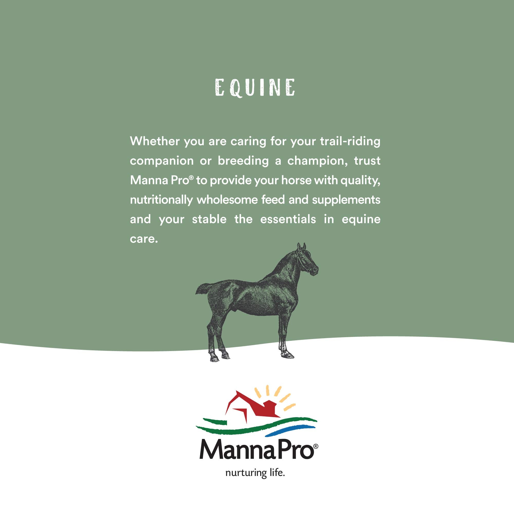 Manna Pro Pro-Force Fly Control for Horses, 6 Count - Effective Spot-On Treatment to Eliminate Flies and Pests