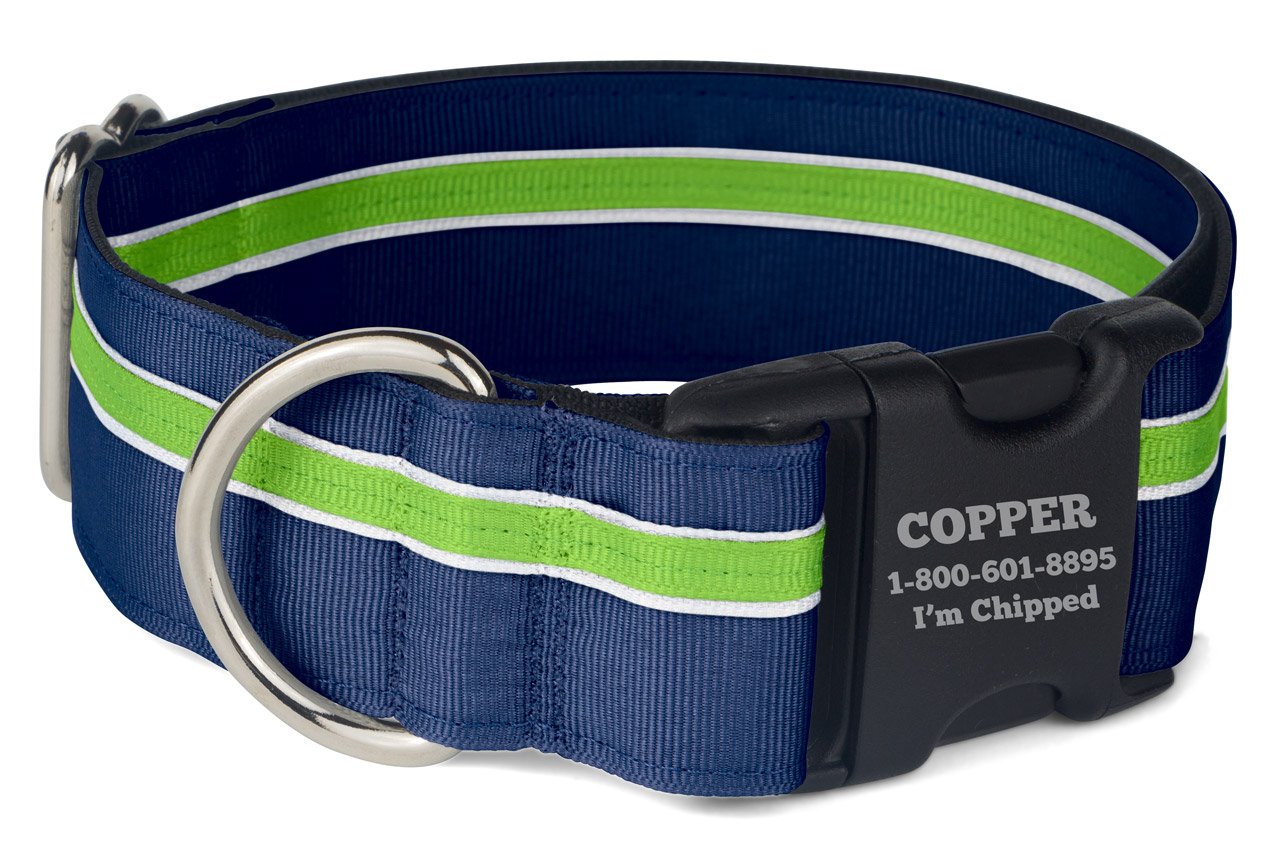 If It Barks Personalized 1.5 Striped Dog Collar - Engraved Name - Custom Size, Finley